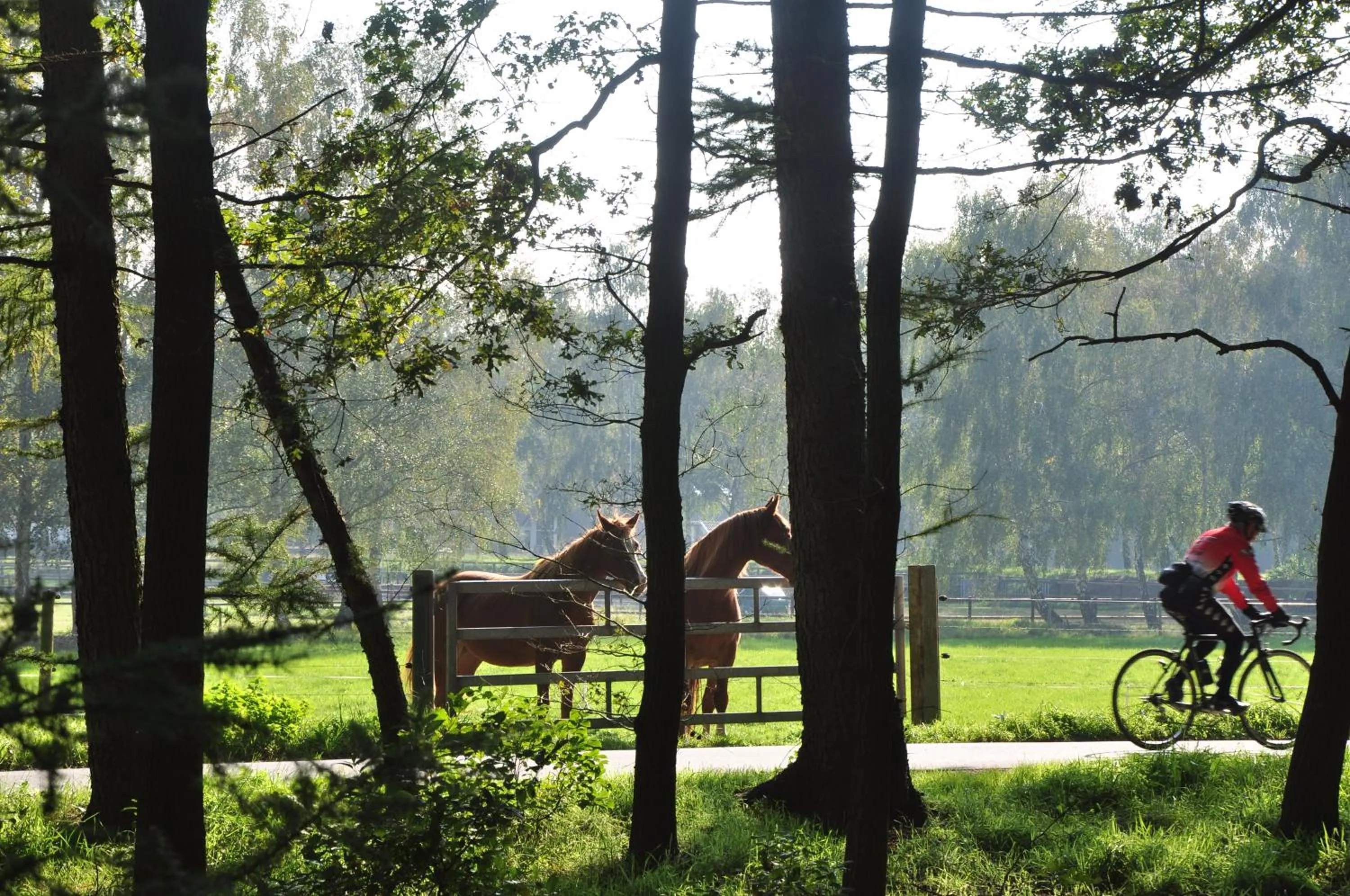 People in Hotel Umberto