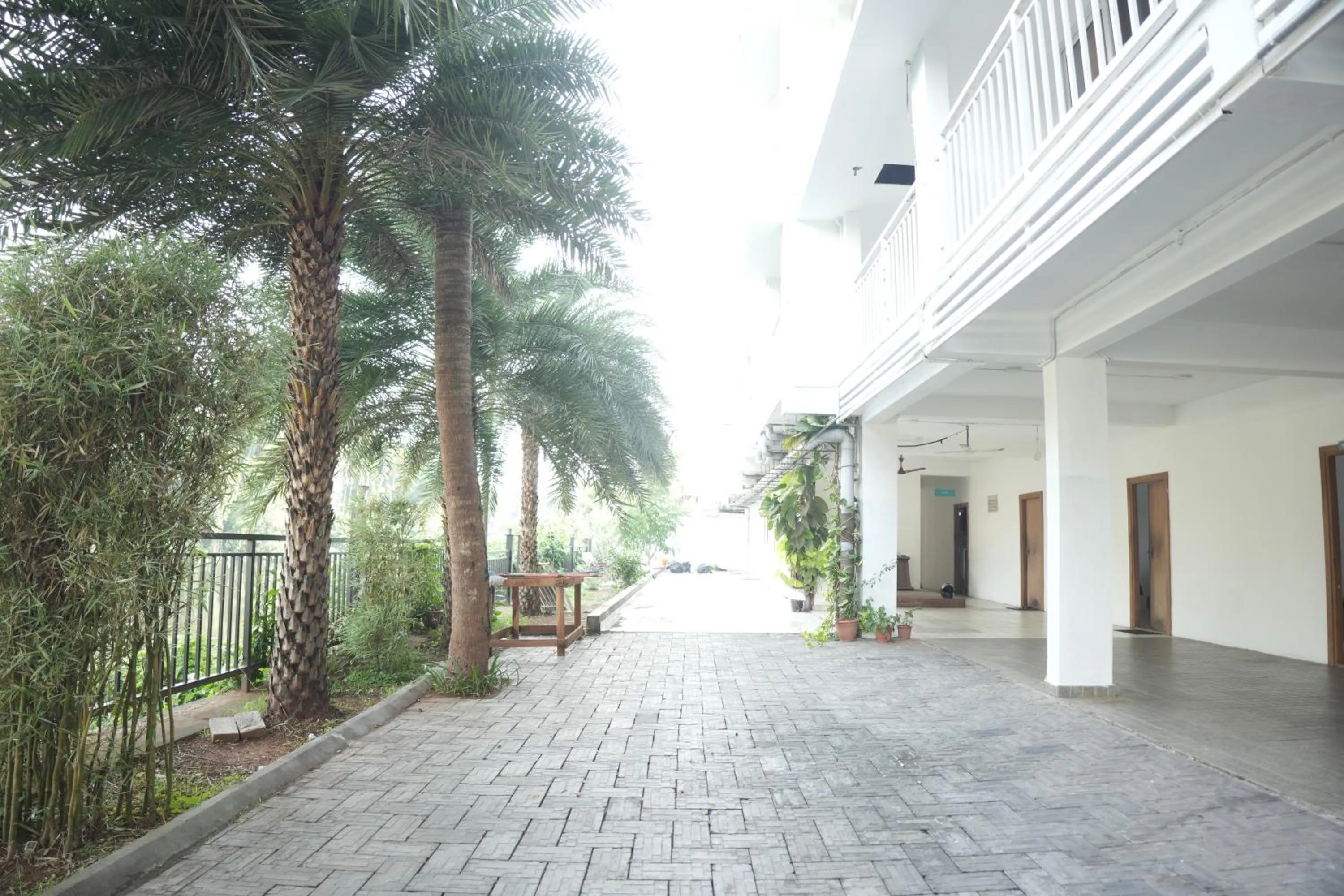 Garden view in HOTEL LETS STAY