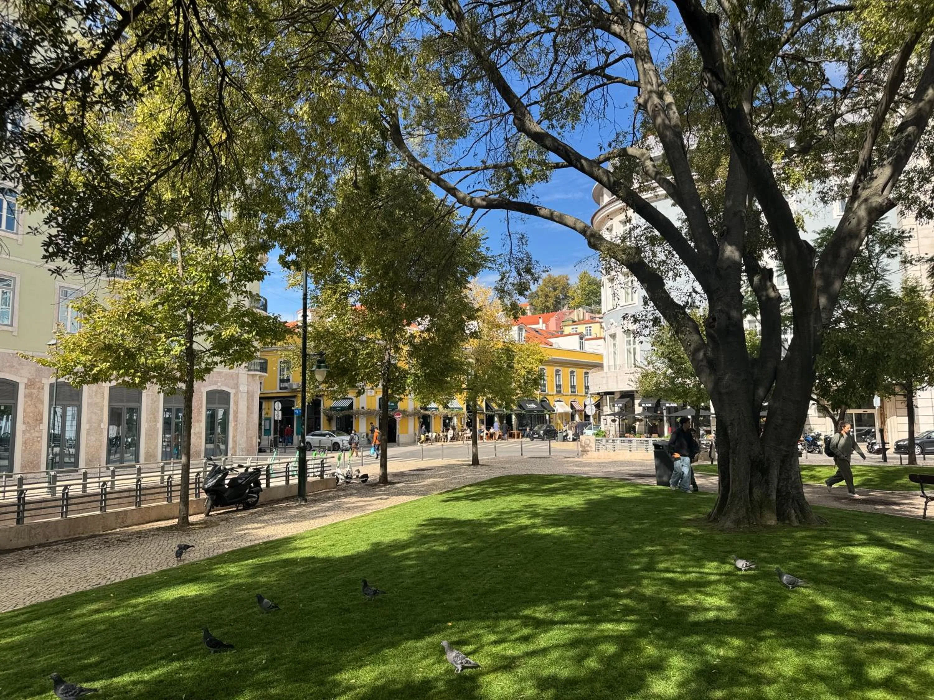Facade/entrance in Studios with Mezzanine Rua da Moeda