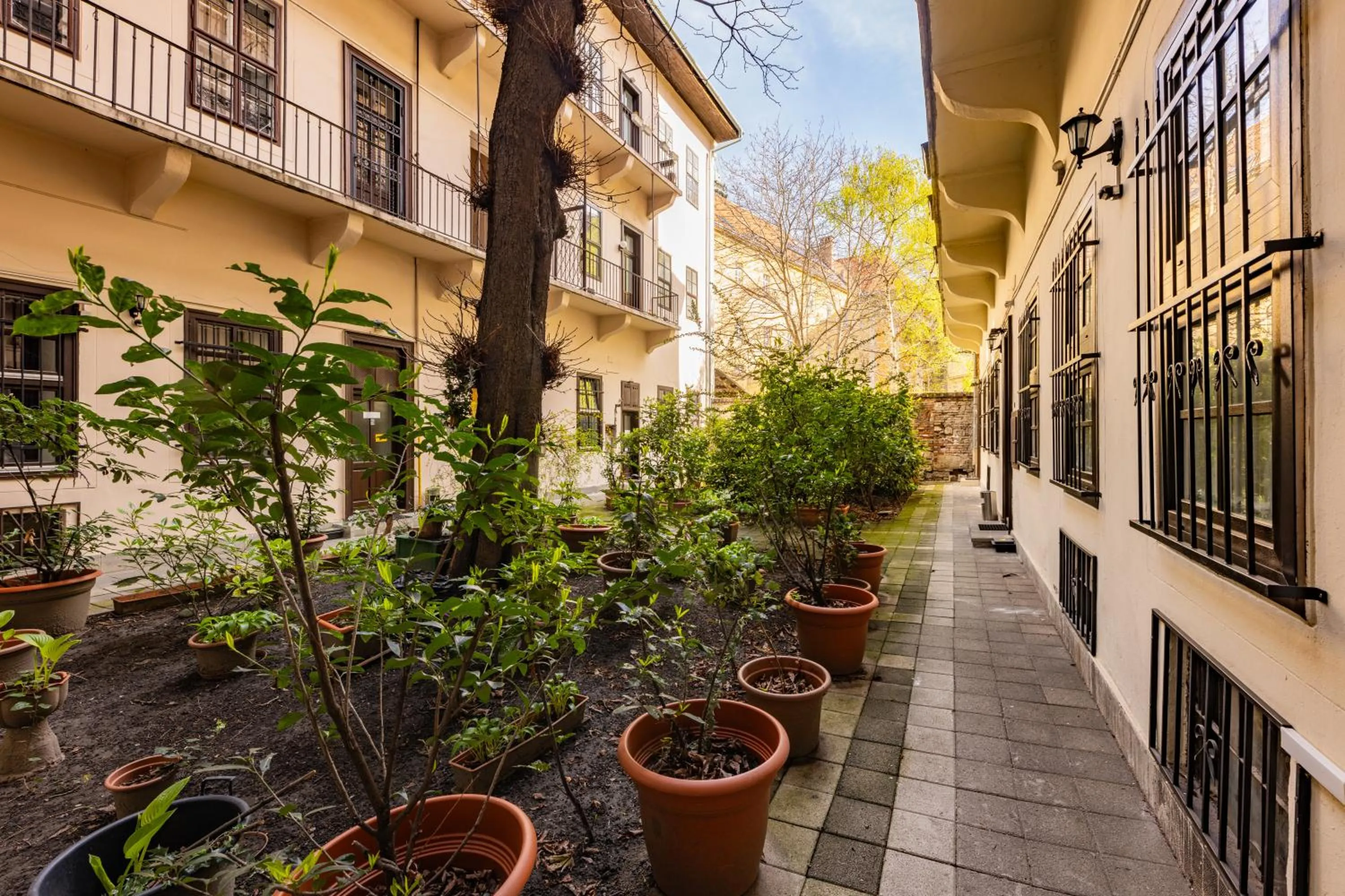 Garden view in Amber Gardenview Studios Downtown