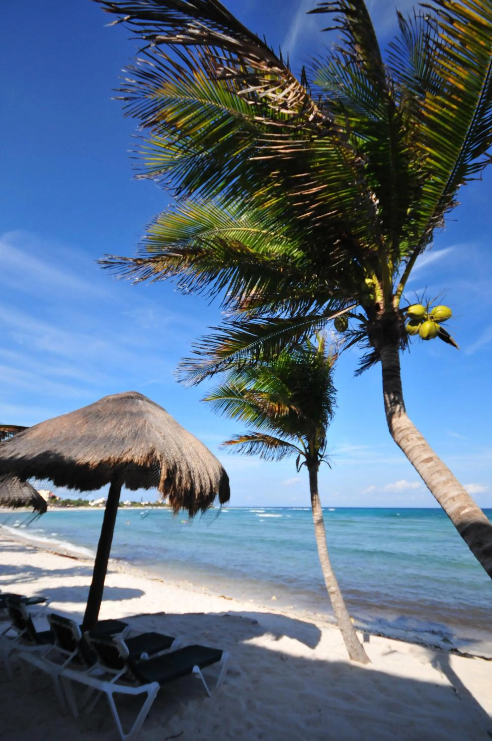 View (from property/room) in Del Sol Beachfront
