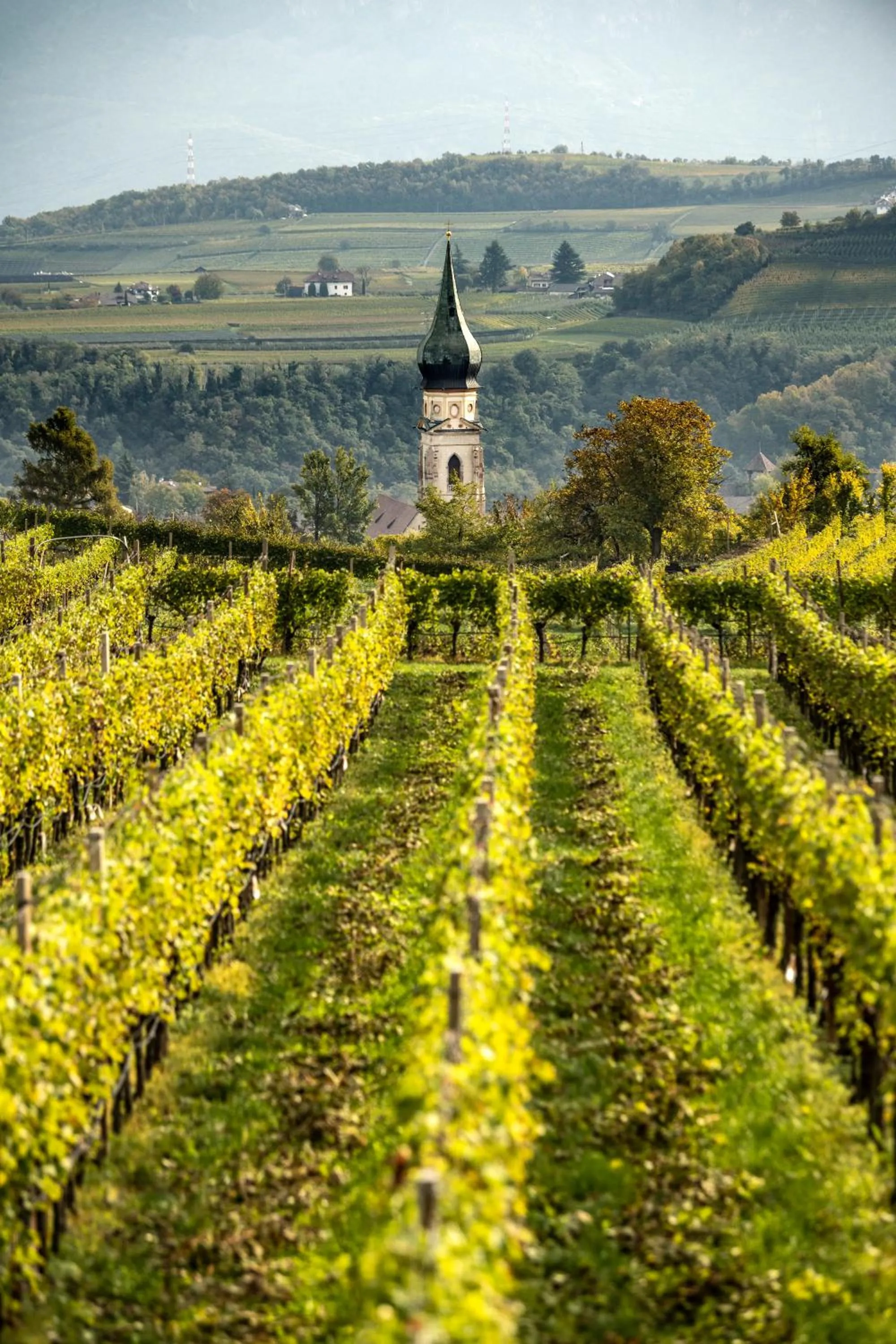 Neighbourhood in Belia Lofts - ADULTS ONLY - Apartments