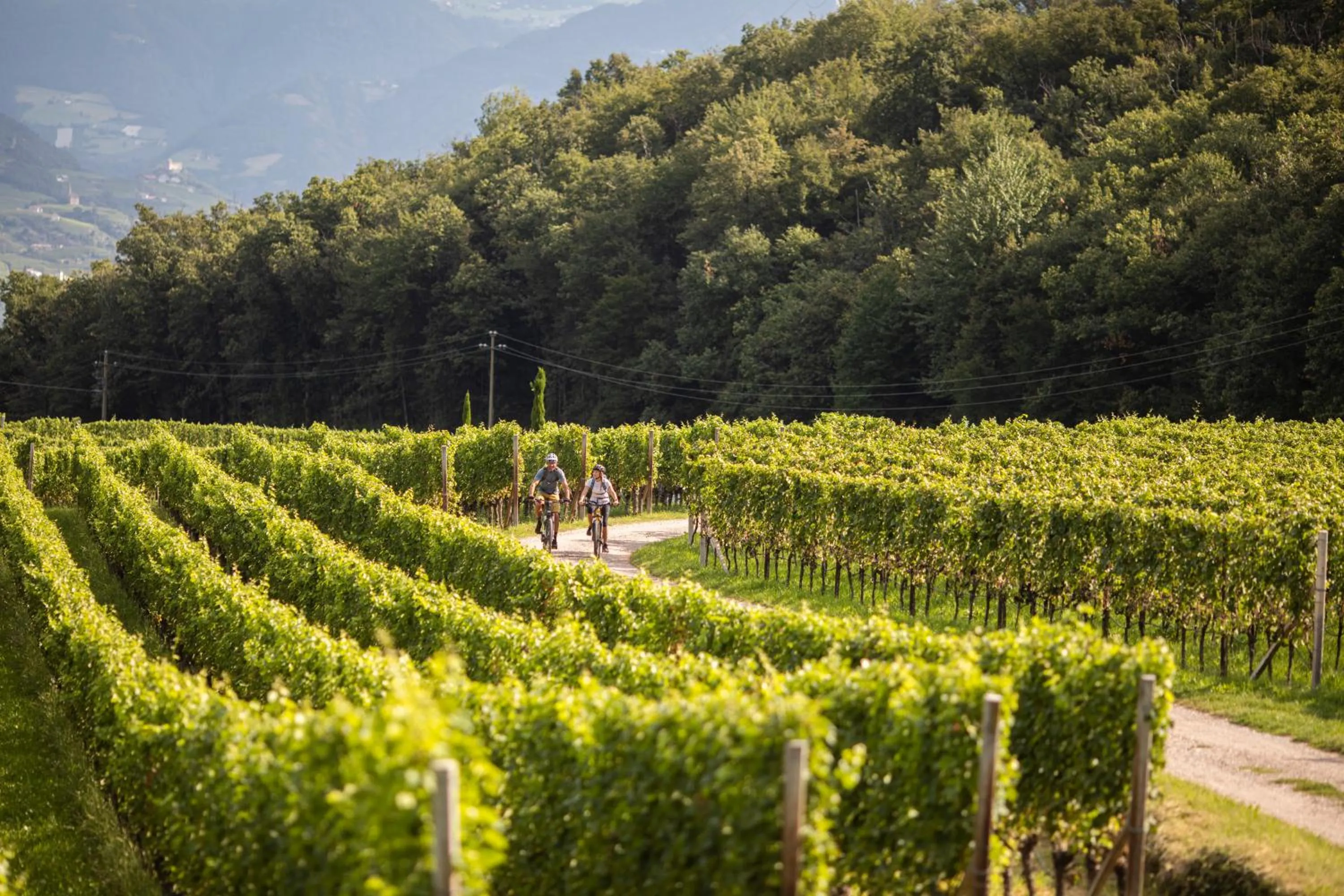 Cycling in Belia Lofts - ADULTS ONLY - Apartments