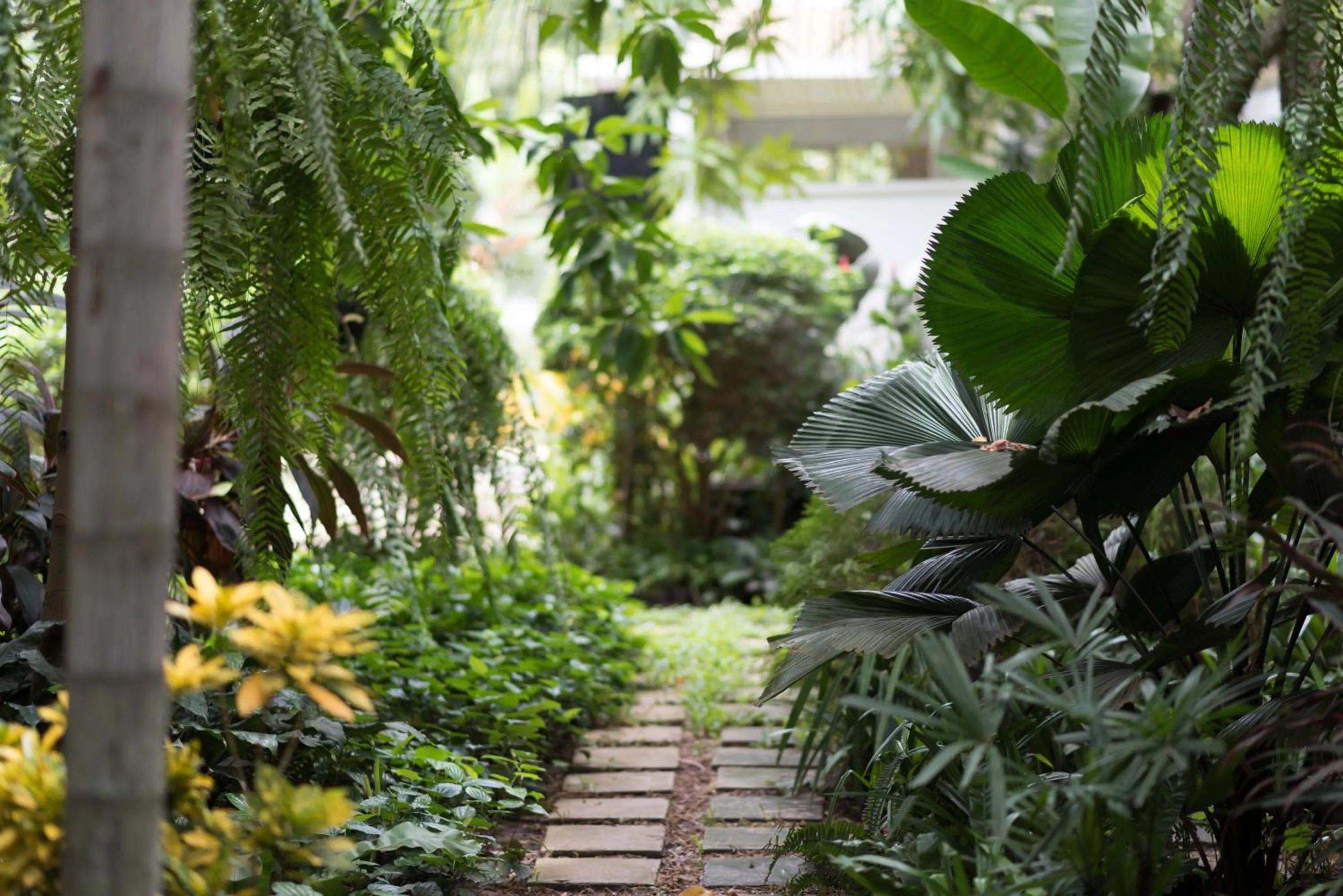 Garden in Sokkhak Boutique Resort & Spa