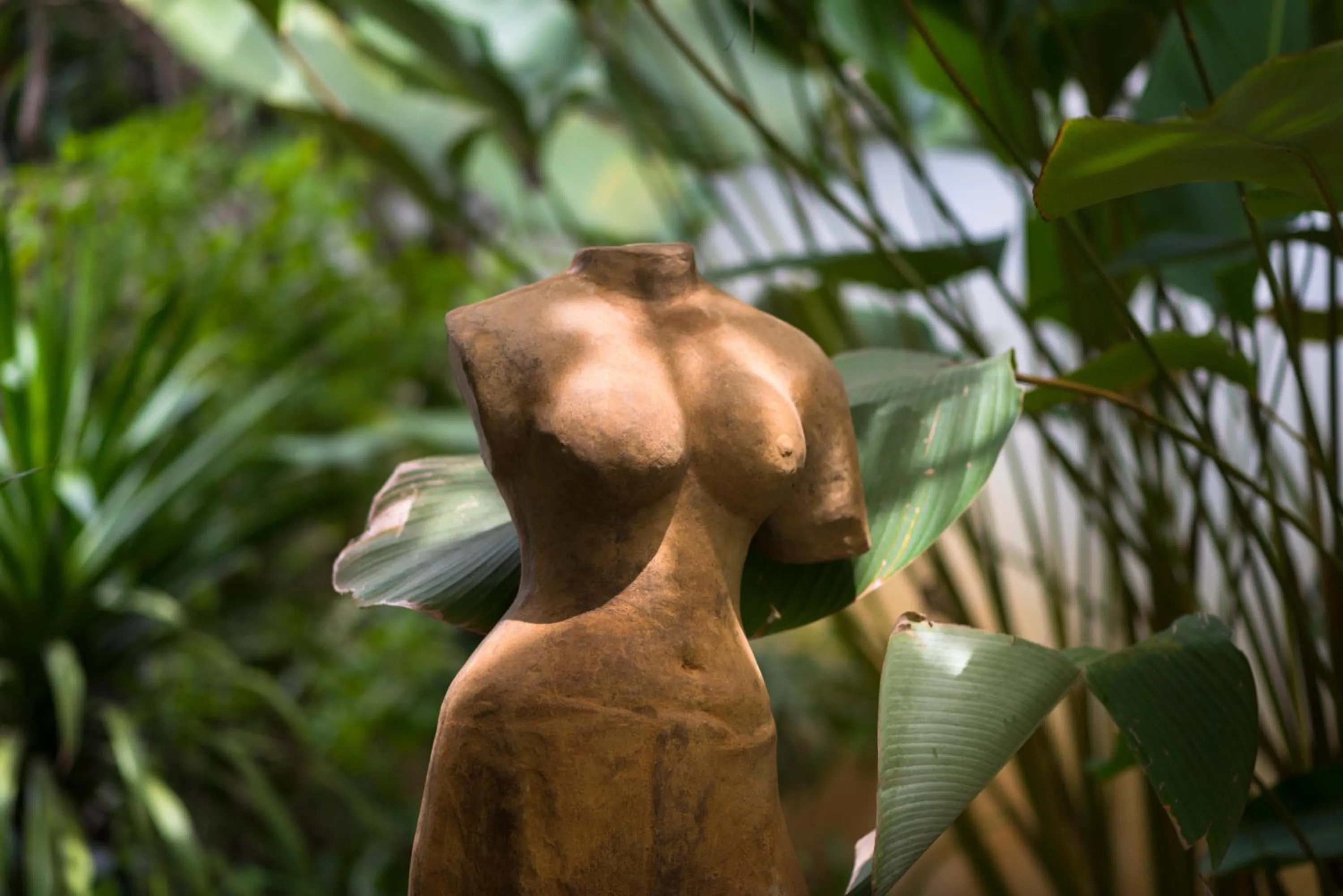 Garden in Sokkhak Boutique Resort & Spa