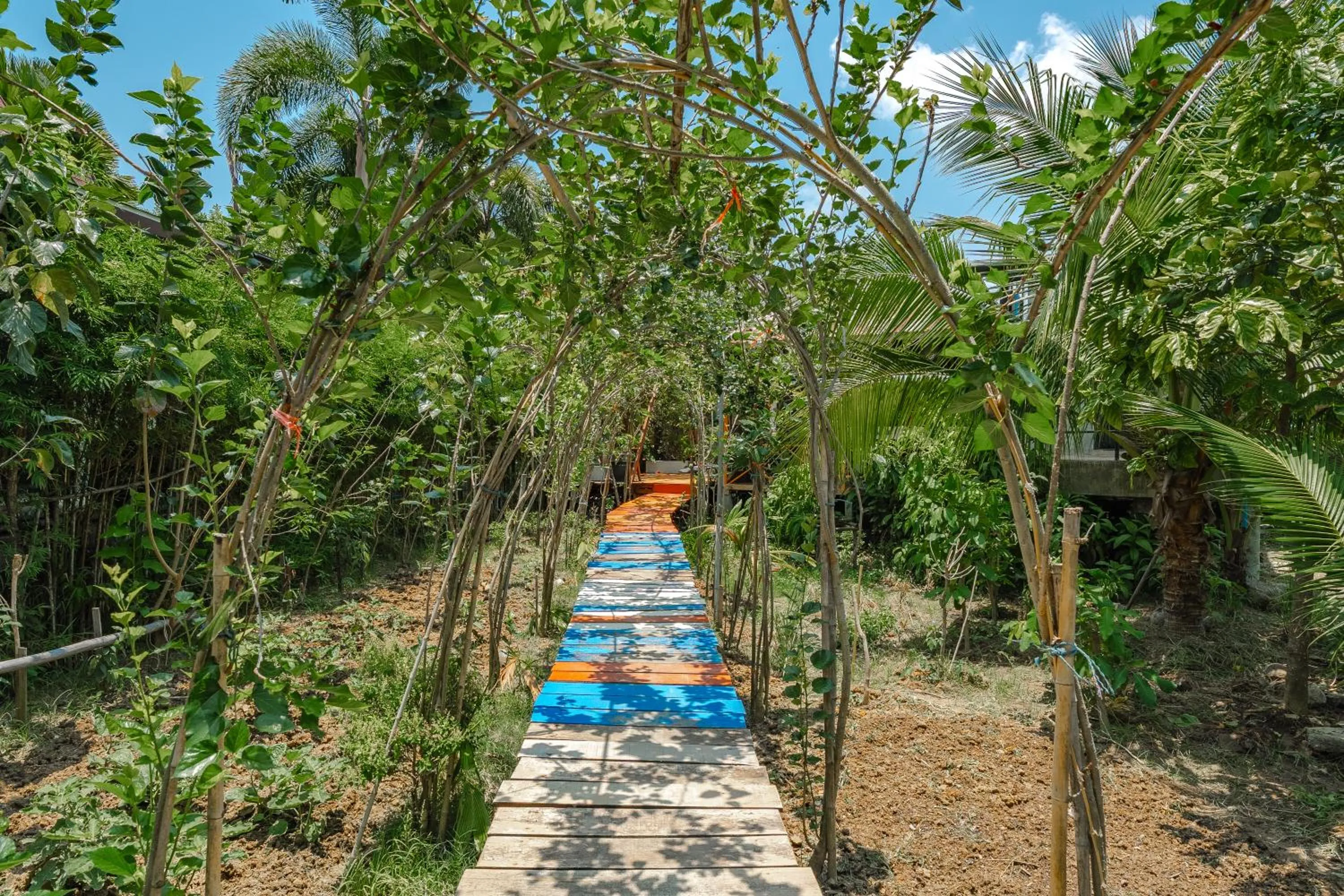 Natural landscape in Coco Retreat Phuket Resort and Spa - SHA Plus