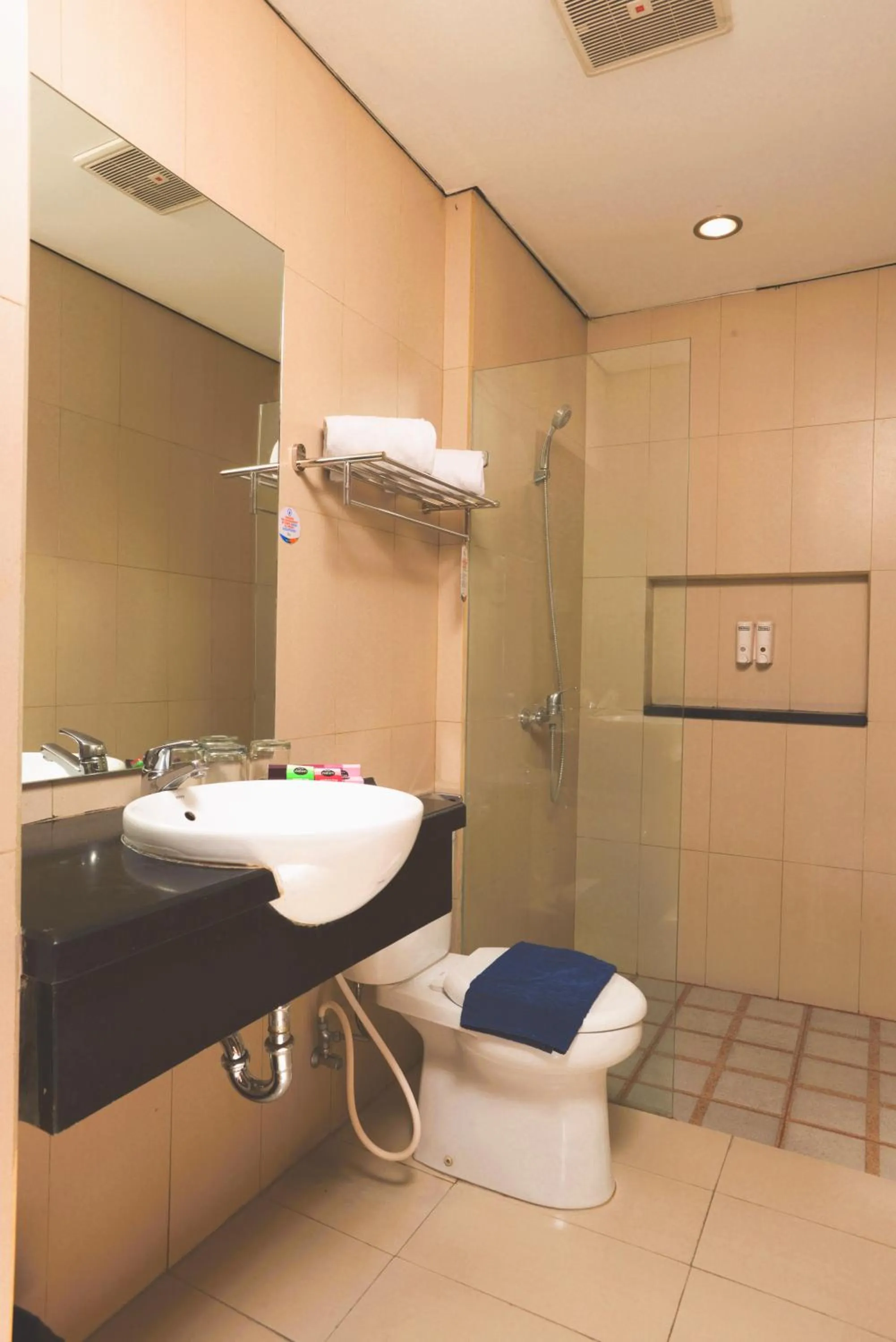 Shower in Hotel Dafam Rio