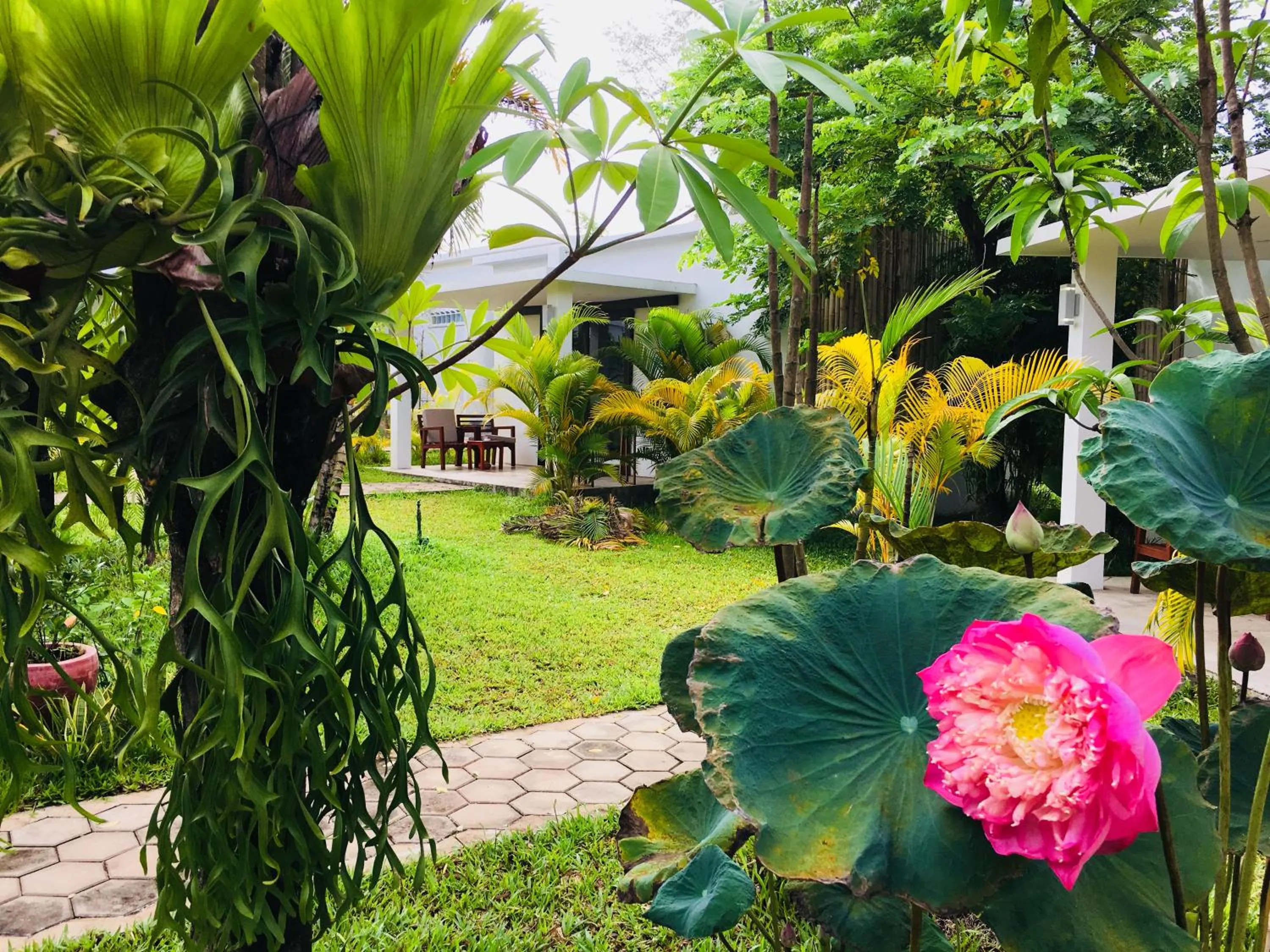 Garden in Sahaa Beach Resort