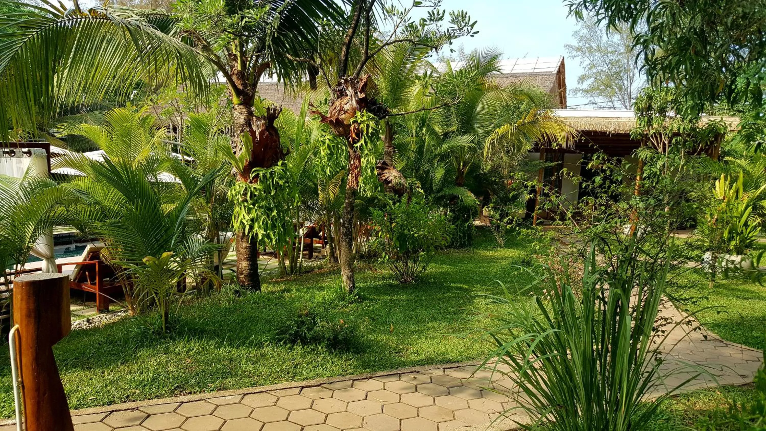 Garden in Sahaa Beach Resort