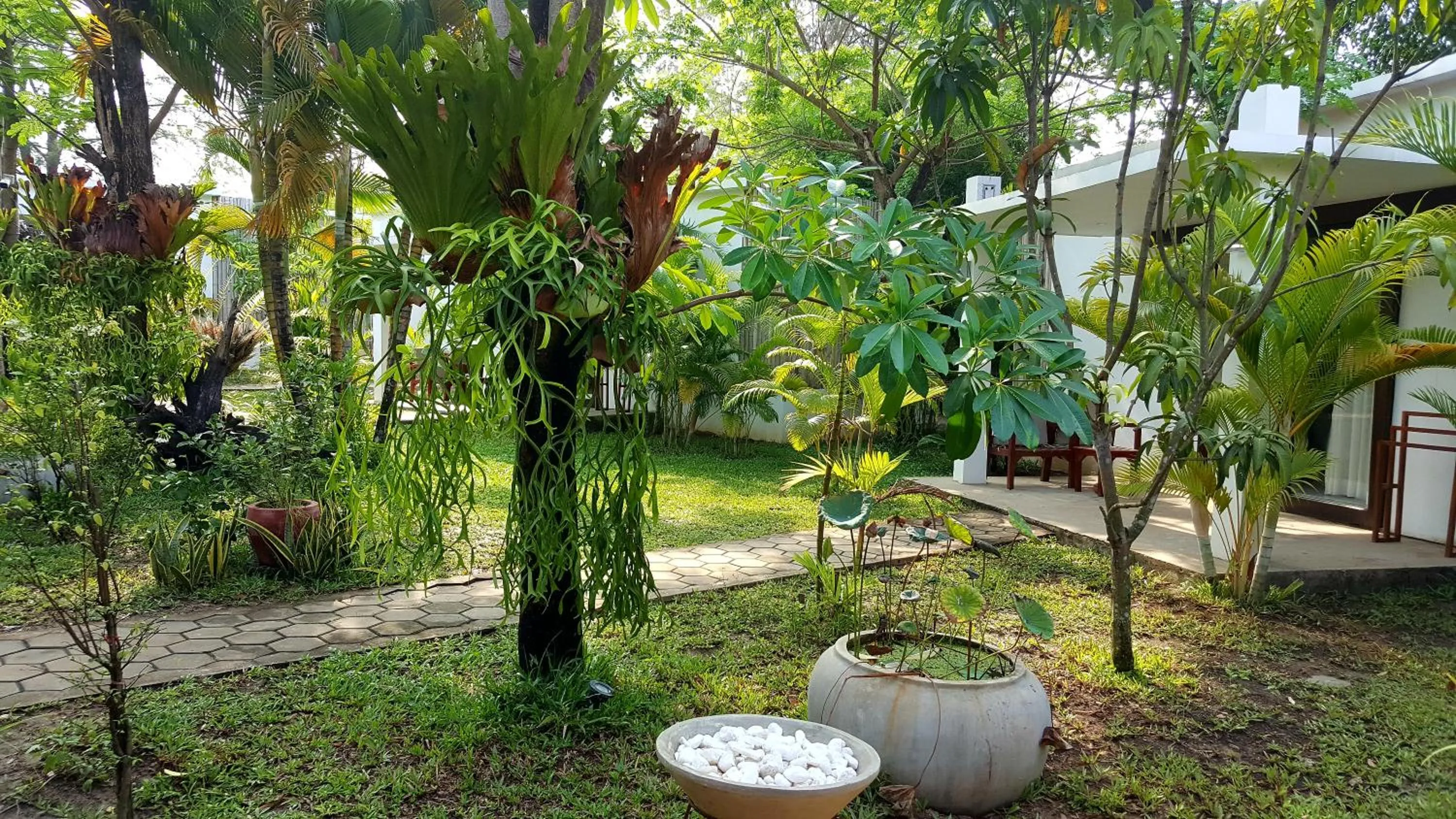 Garden in Sahaa Beach Resort