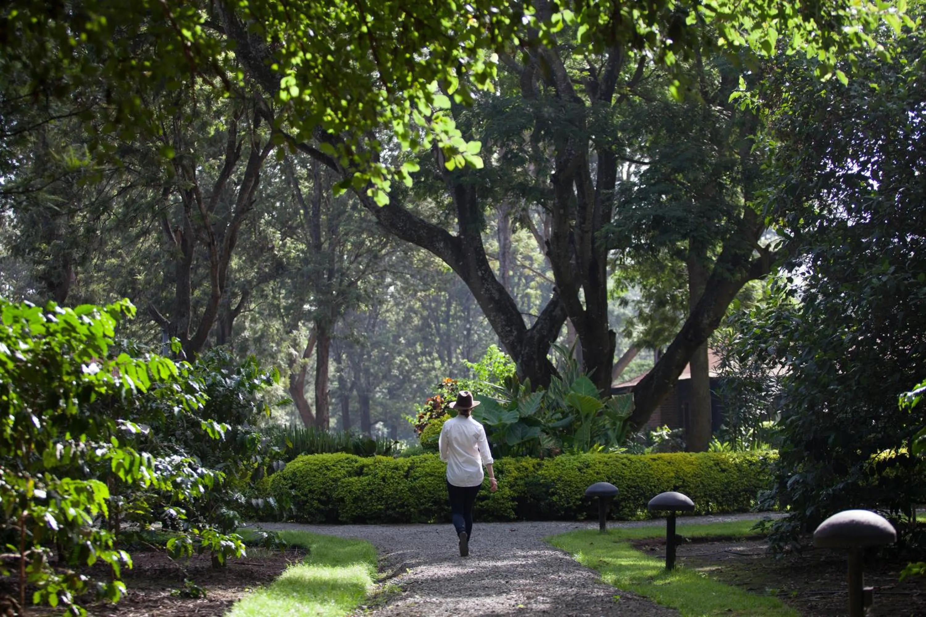 Garden in Elewana Arusha Coffee Lodge