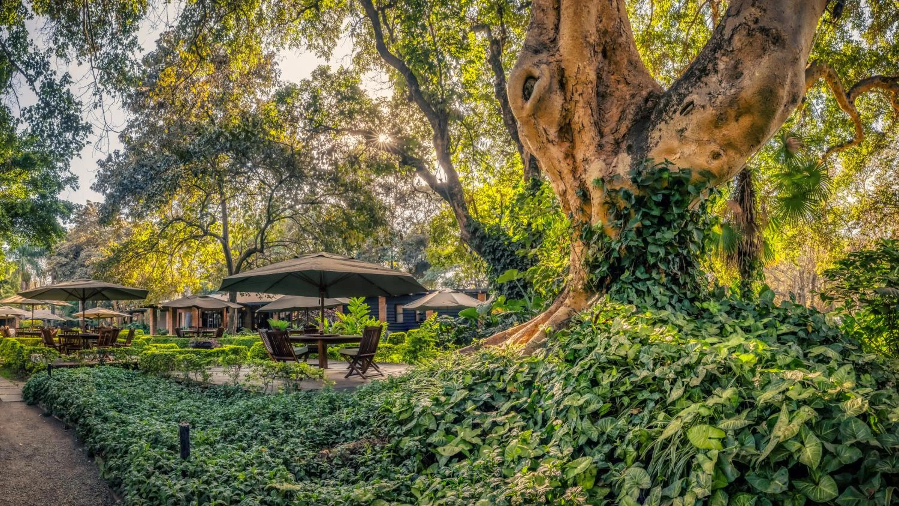 Day in Elewana Arusha Coffee Lodge