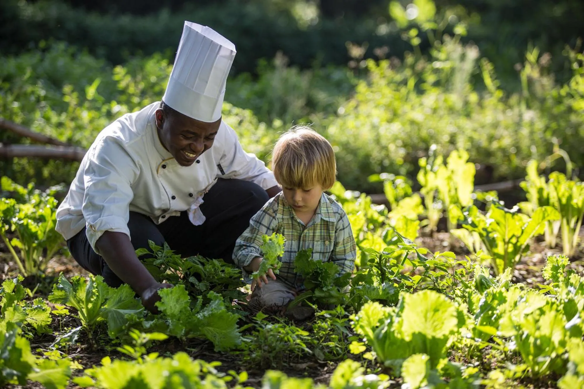 Property building in Elewana Arusha Coffee Lodge