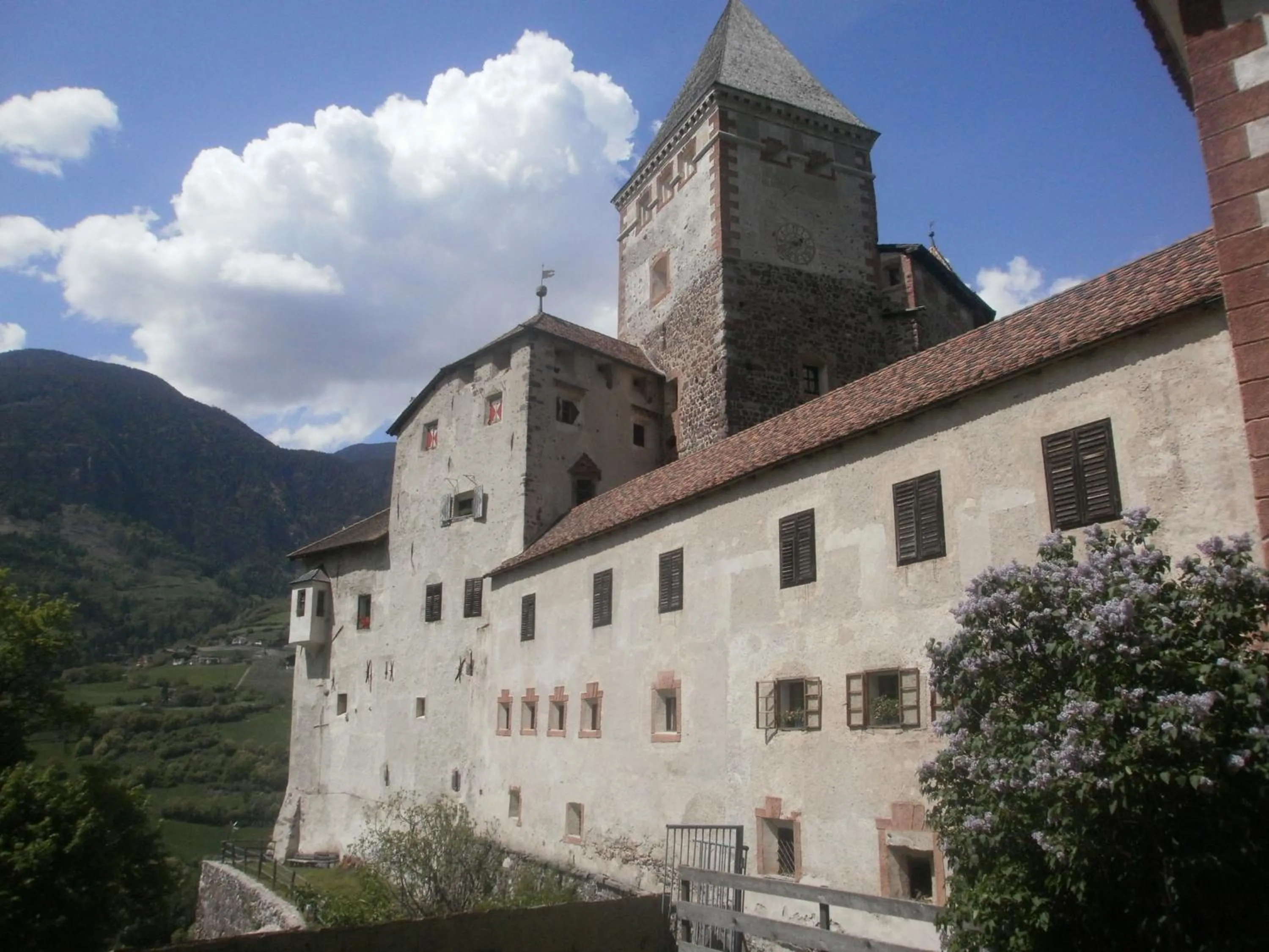 Natural landscape in Hotel Garni Angerer
