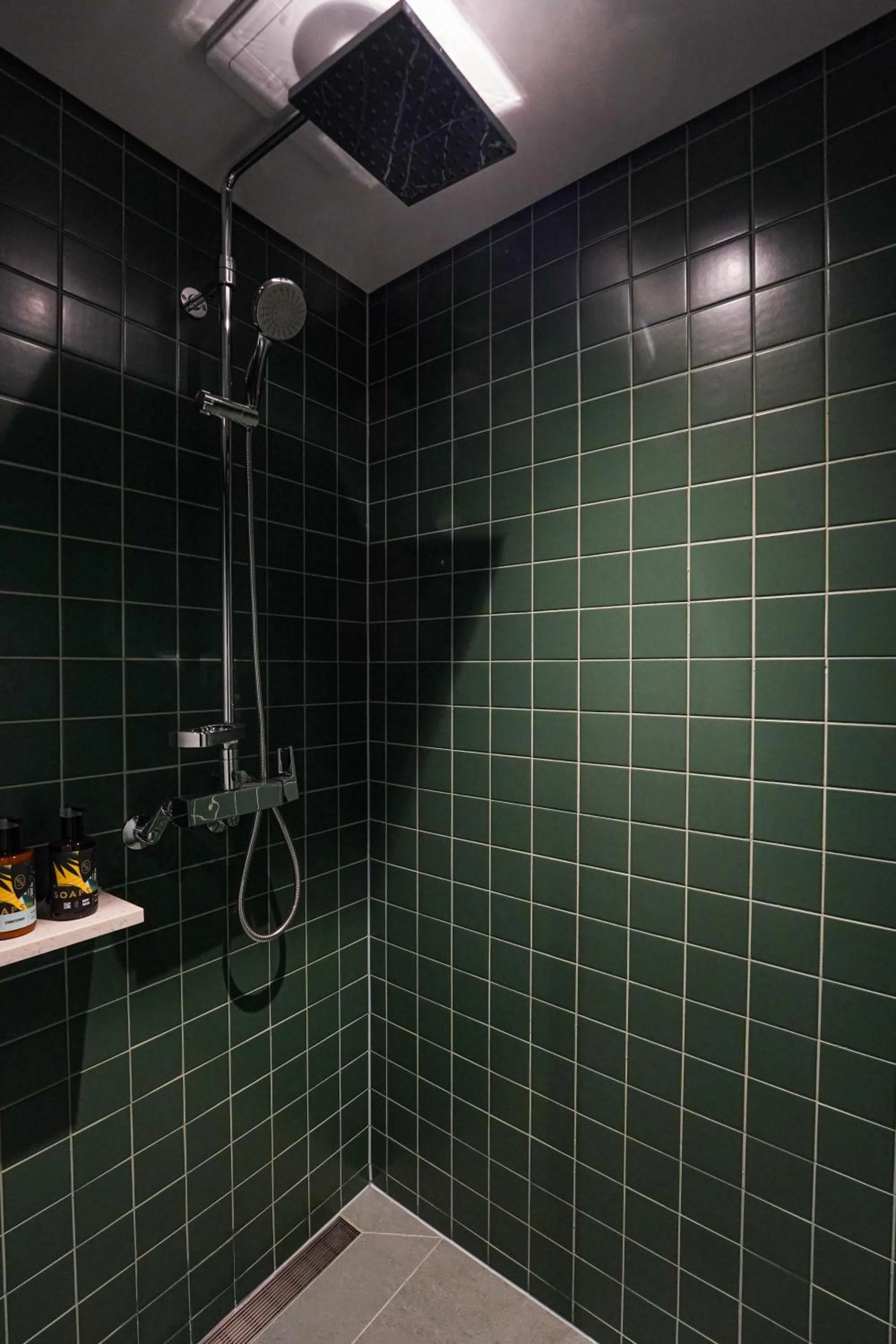 Shower in Hotel Ground27