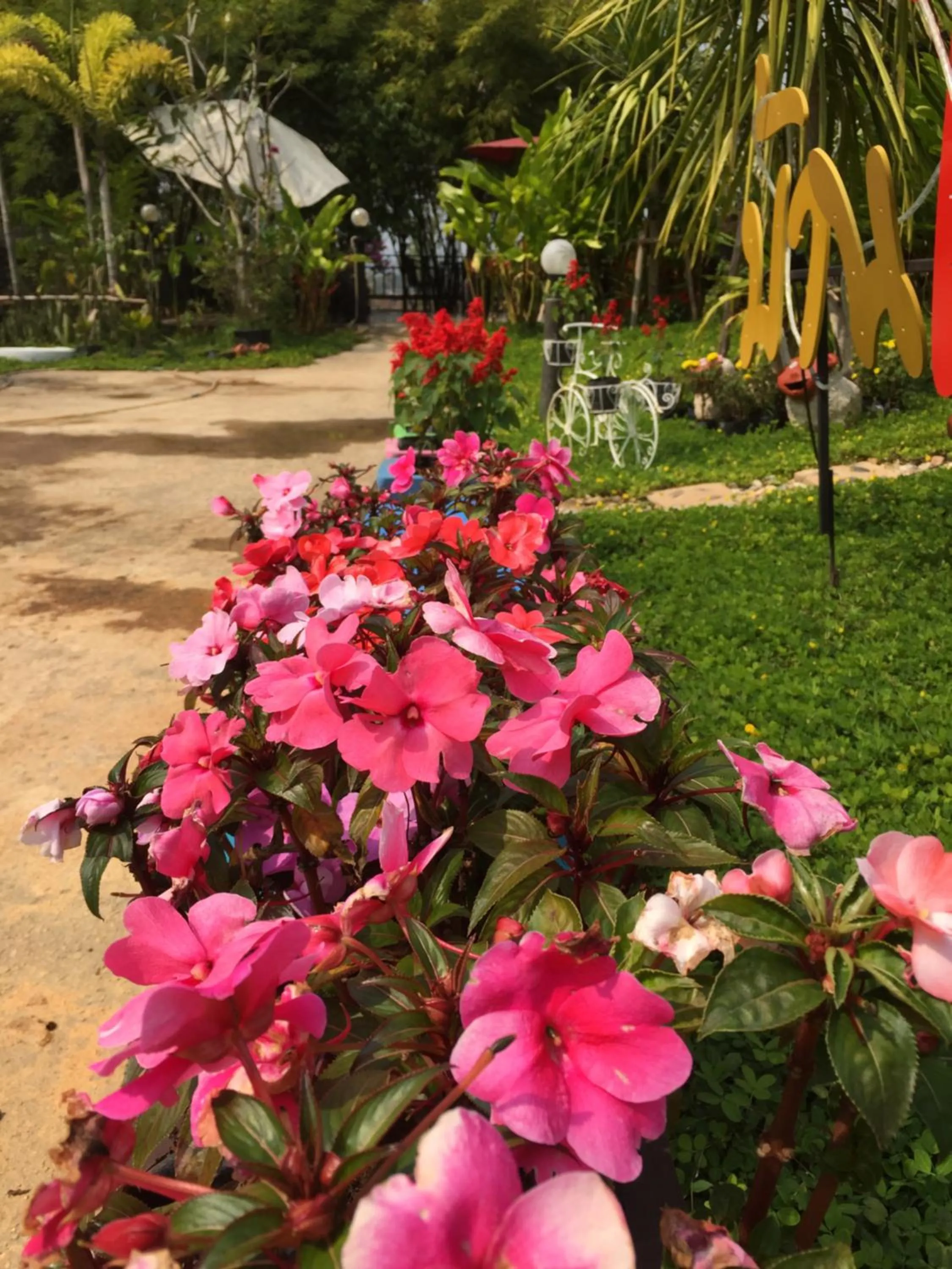 Property building in Baan Rai Phufah Resort Chiangrai