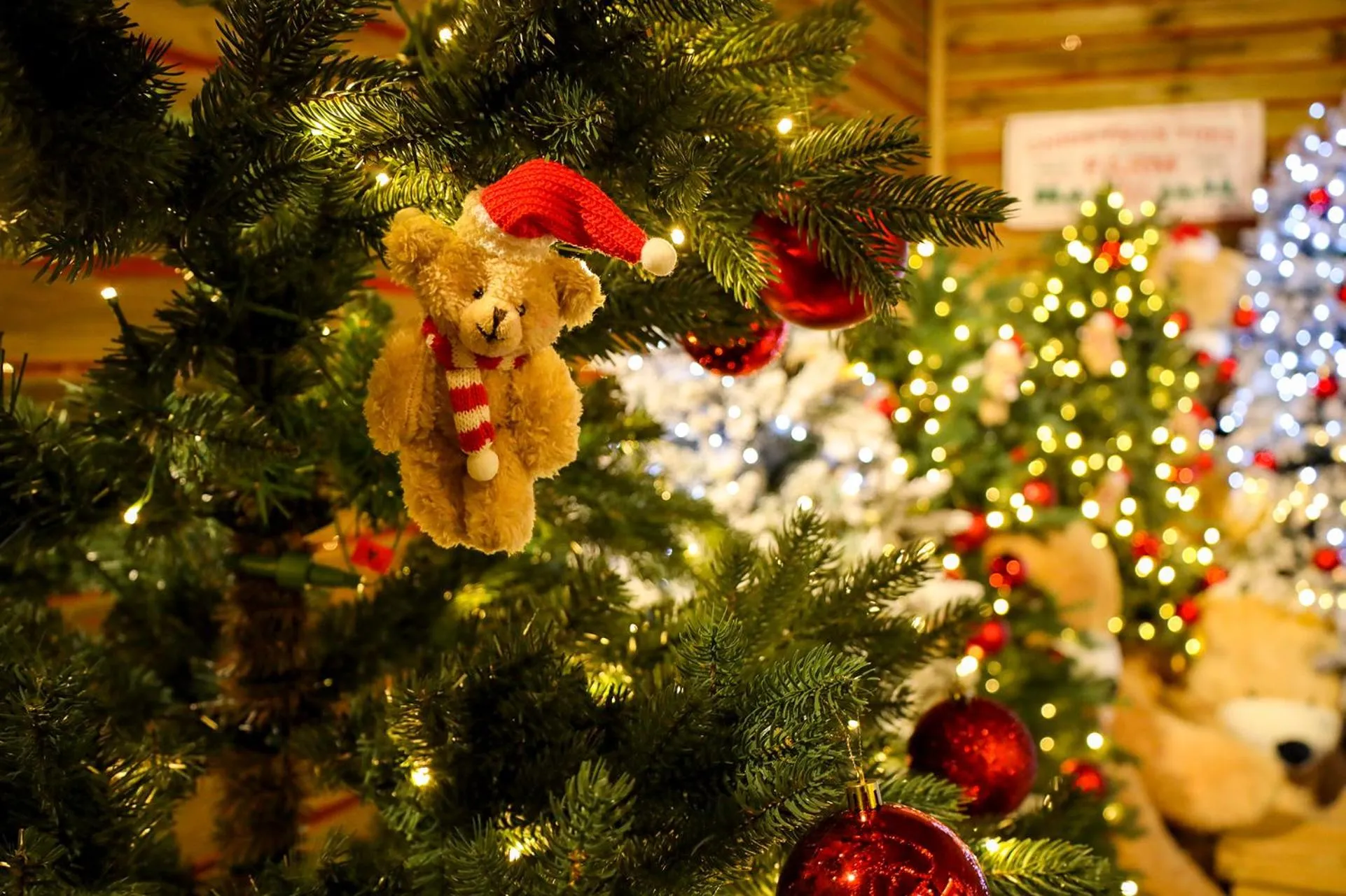 Activities in Yeosu Calacatta Hotel & Resort