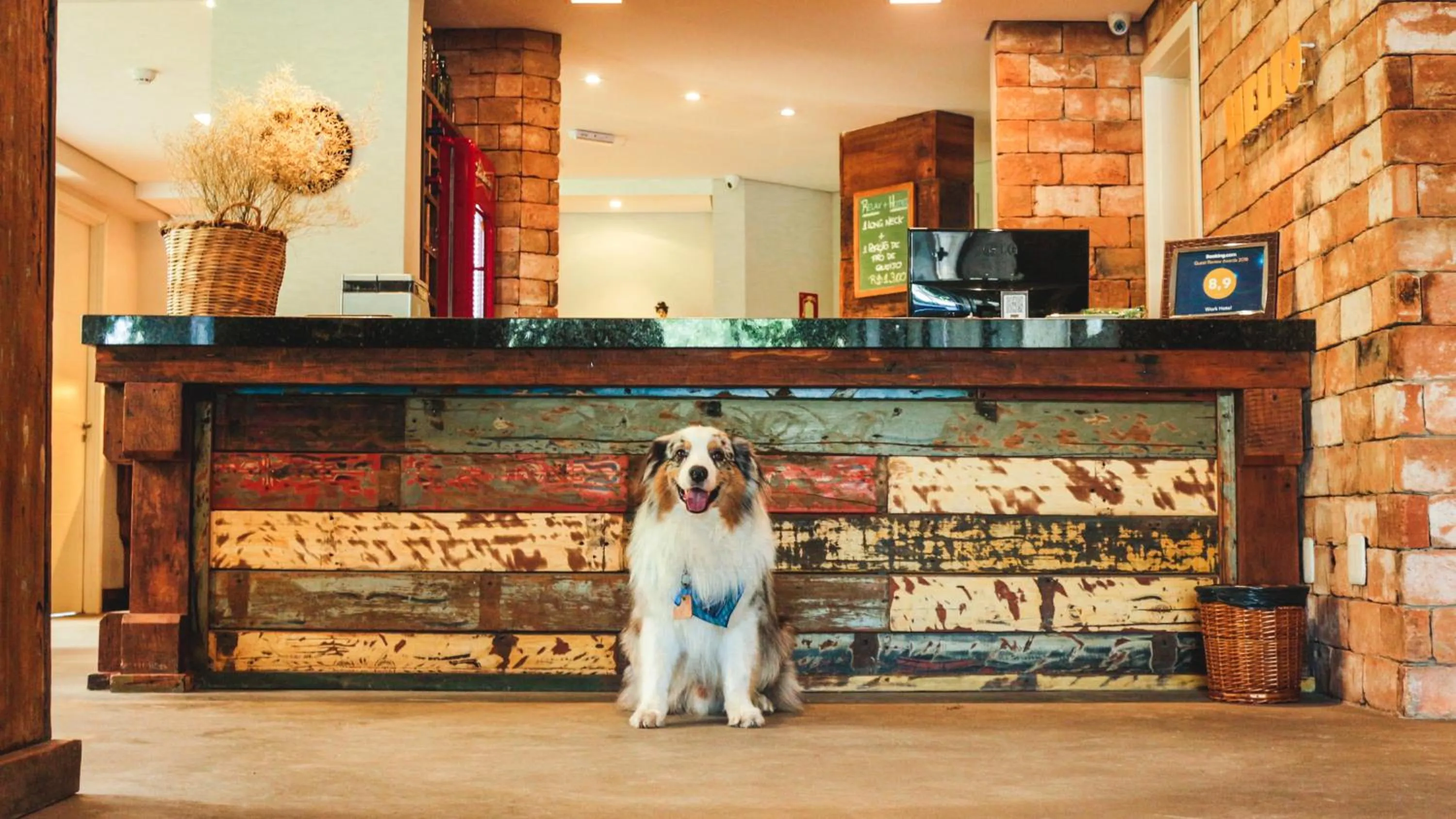 Lobby or reception in Work Hotel Design