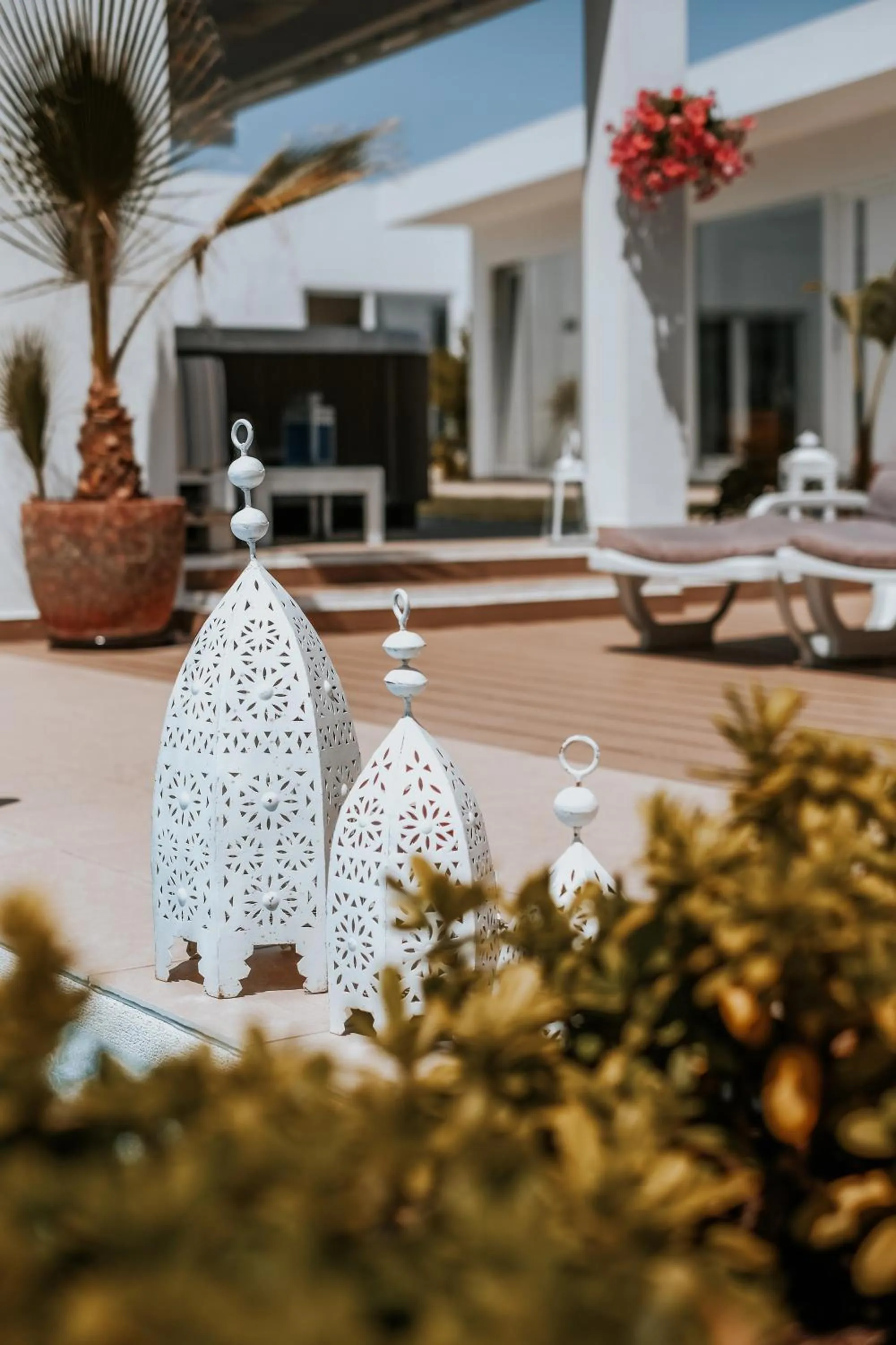 Patio in Casa Morgados - Grândola Guesthouse