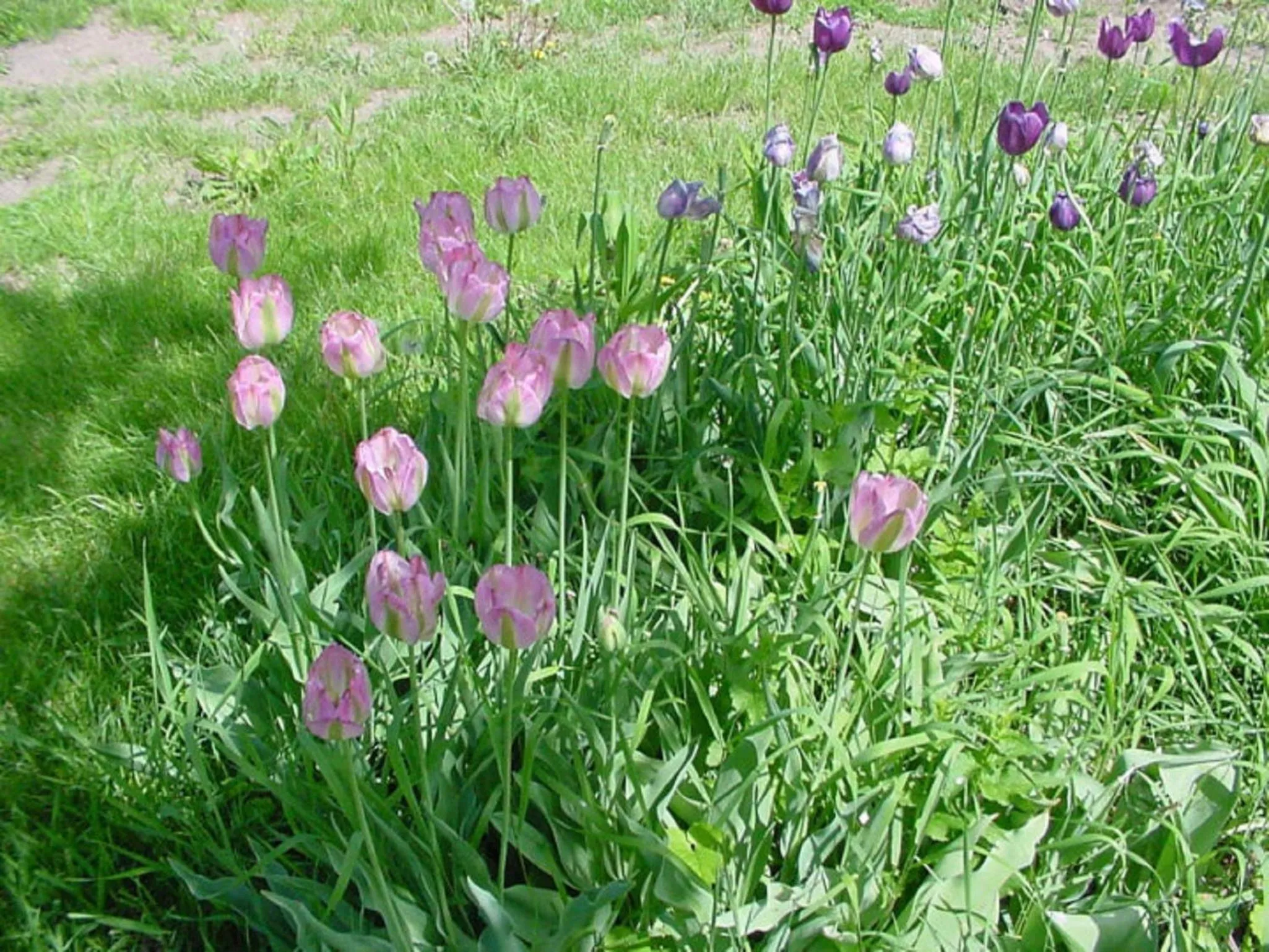 Facade/entrance in Trickling Waters Retreat