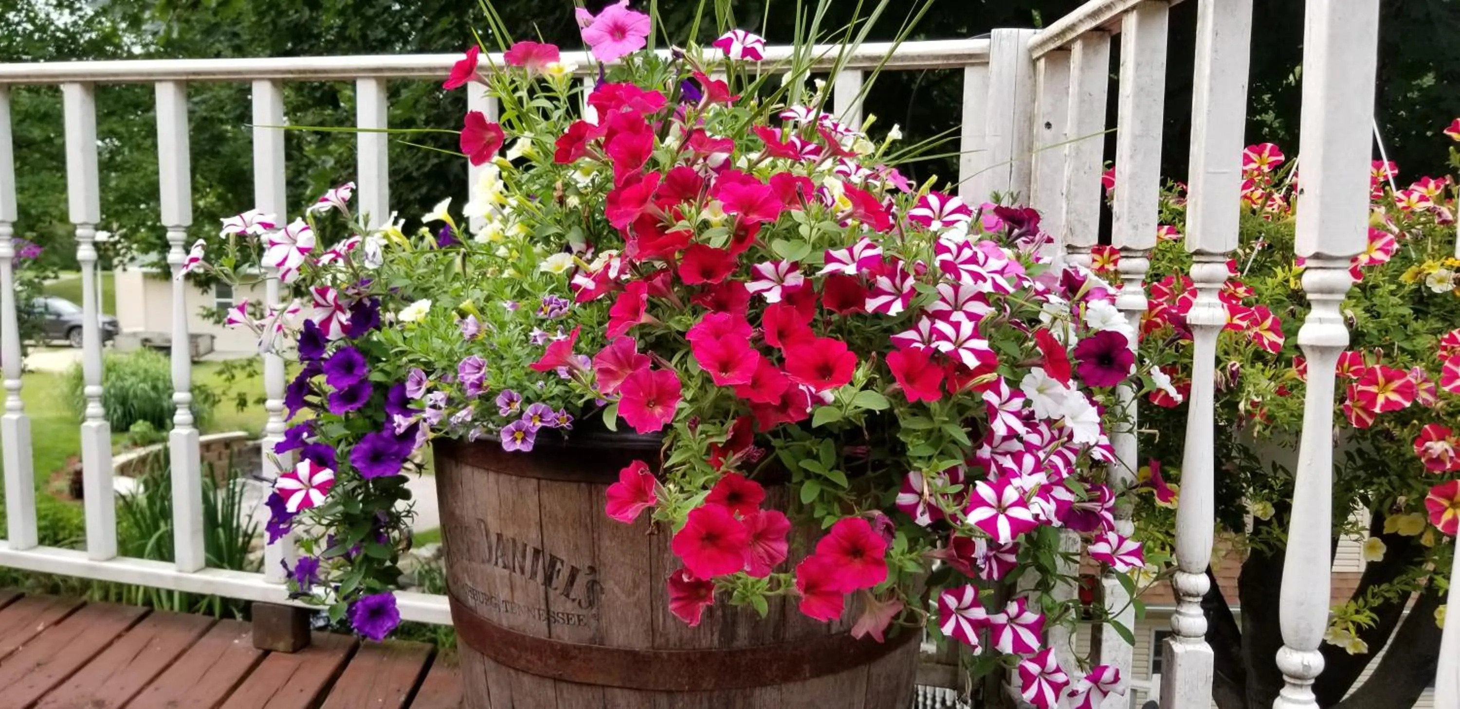 Garden view in Trickling Waters Retreat