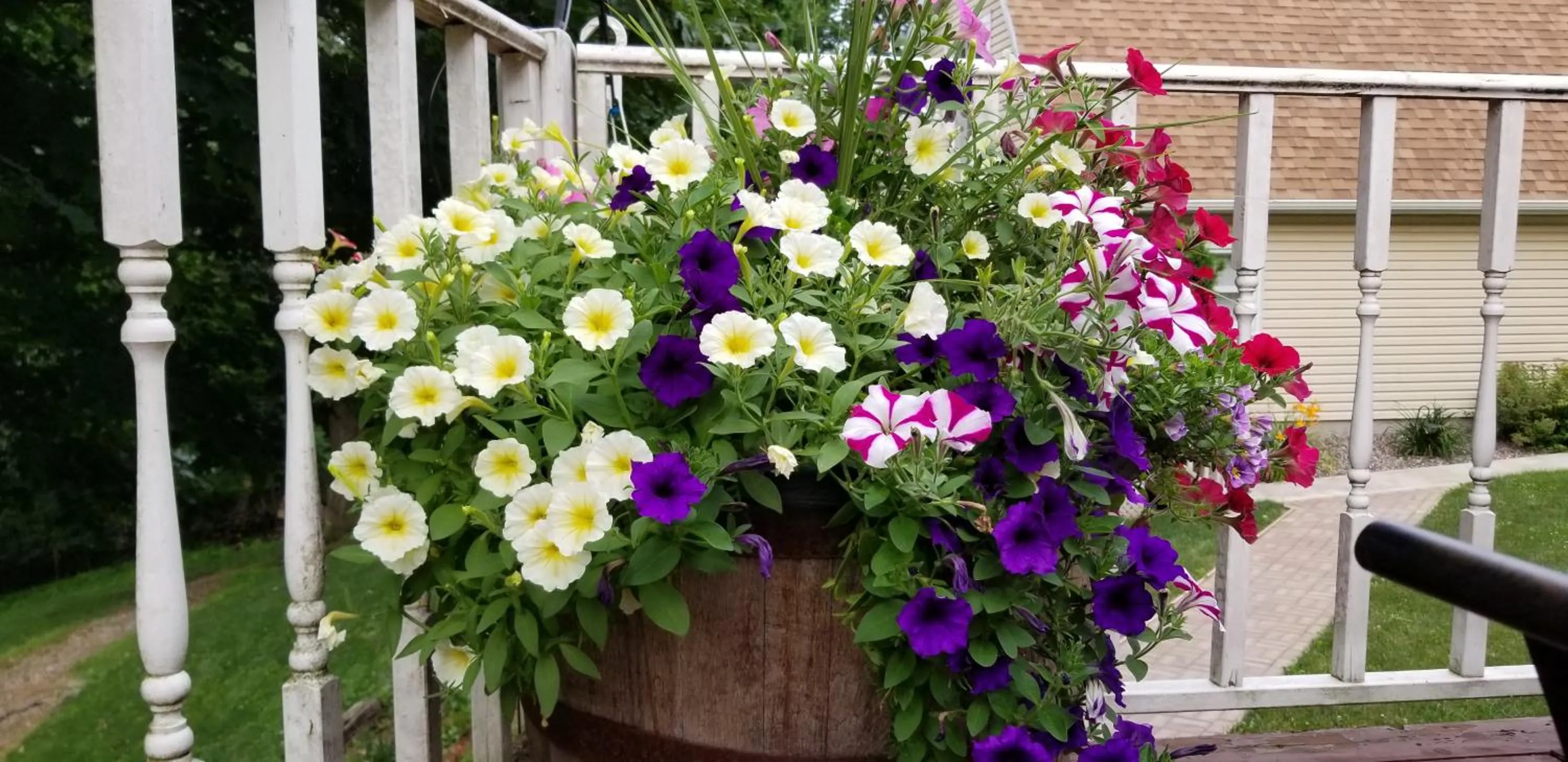 Trickling Waters Retreat