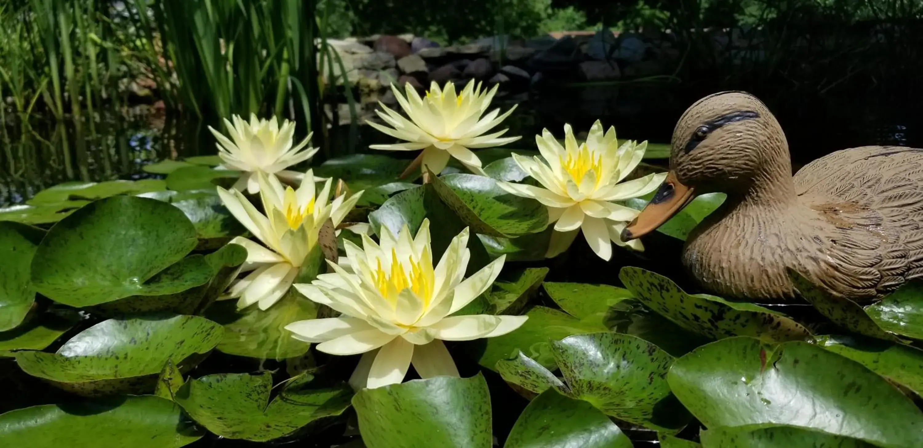 Trickling Waters Retreat Trickling Waters Retreat