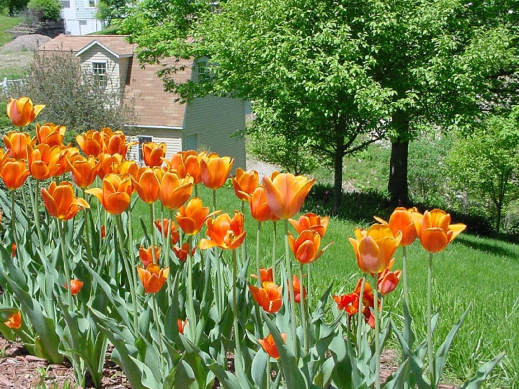 Facade/entrance in Trickling Waters Retreat