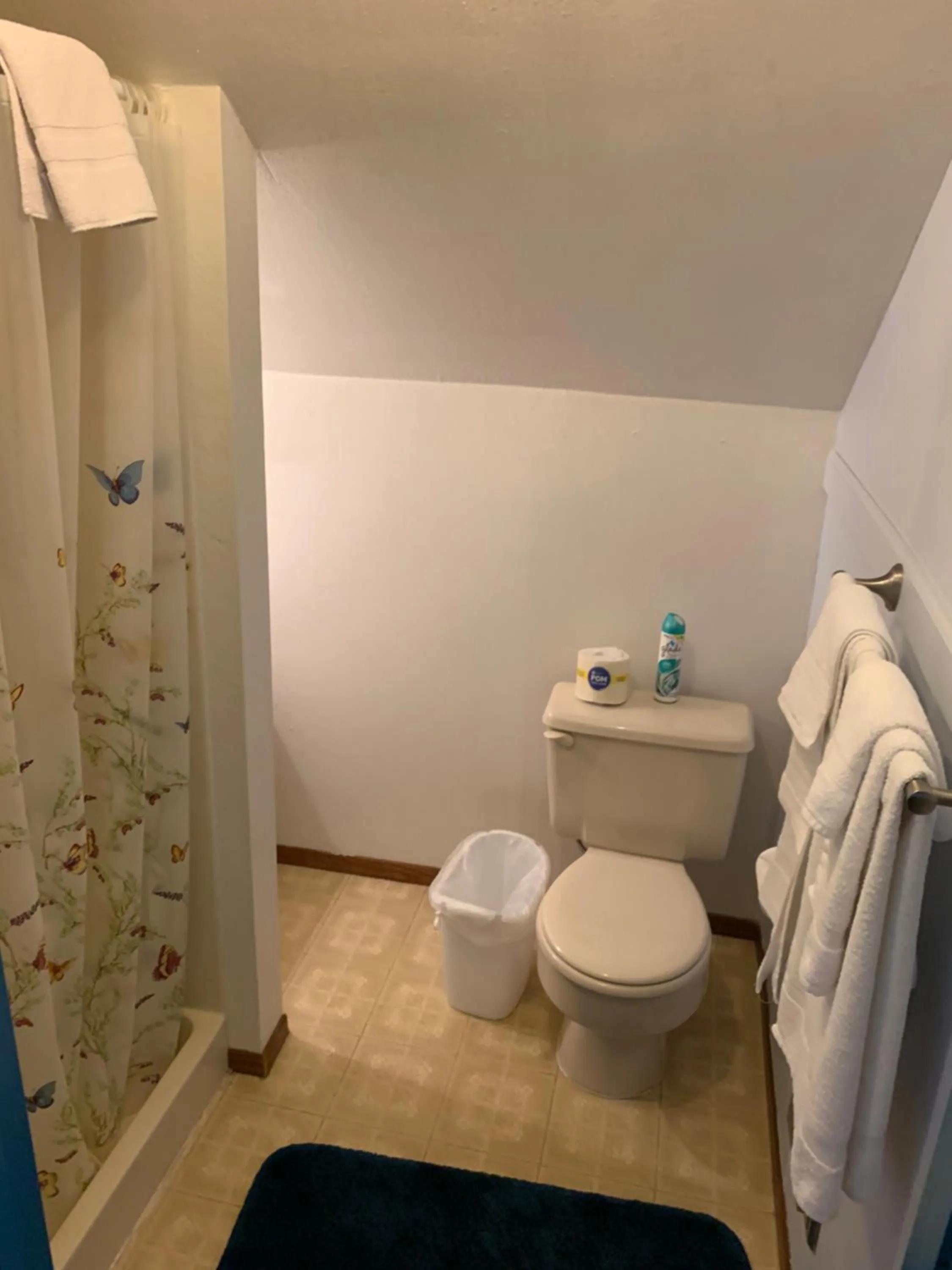 Bathroom in Sugarloaf Mountain Motel