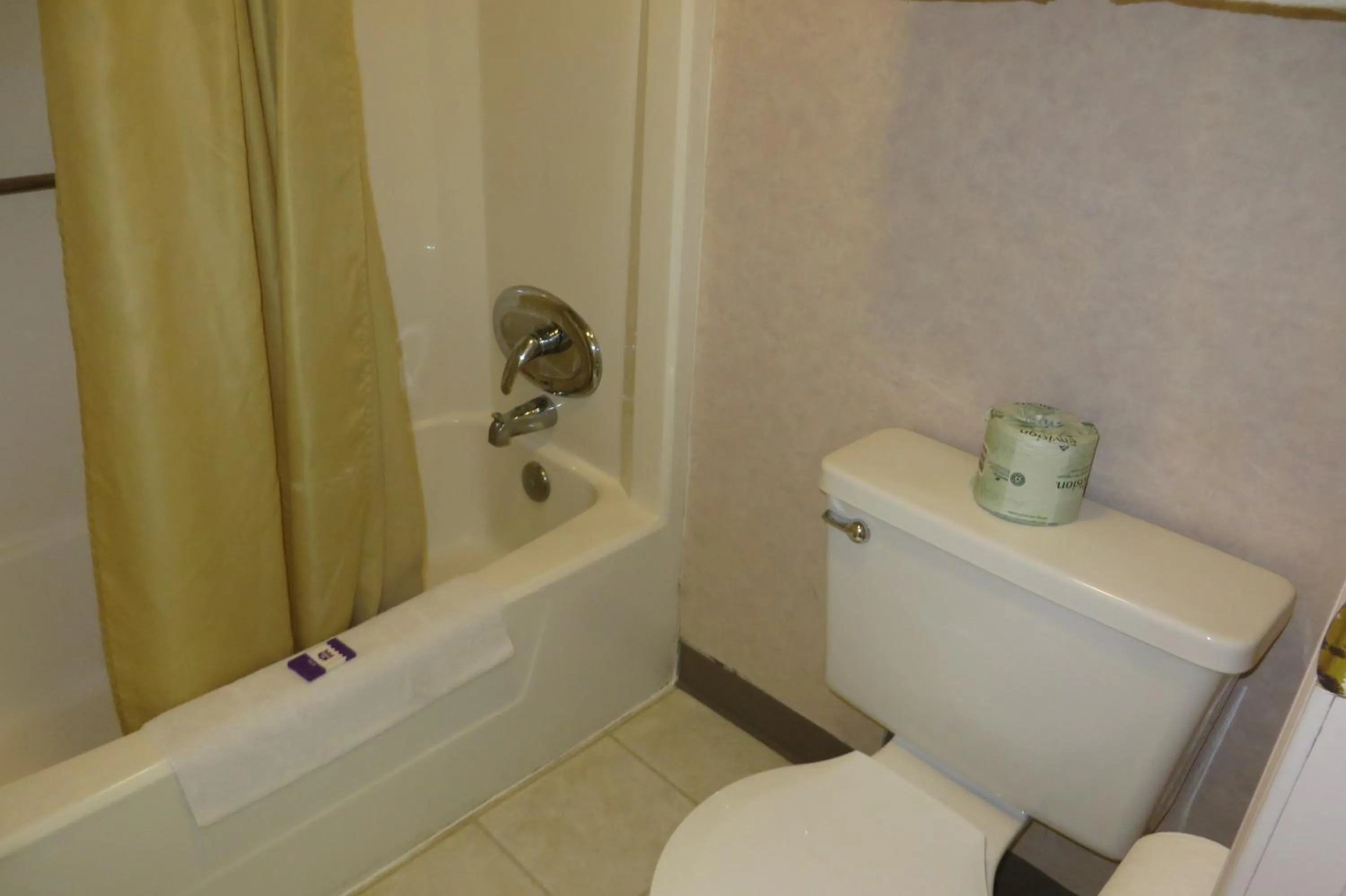 Bathroom in Knights Inn Canton