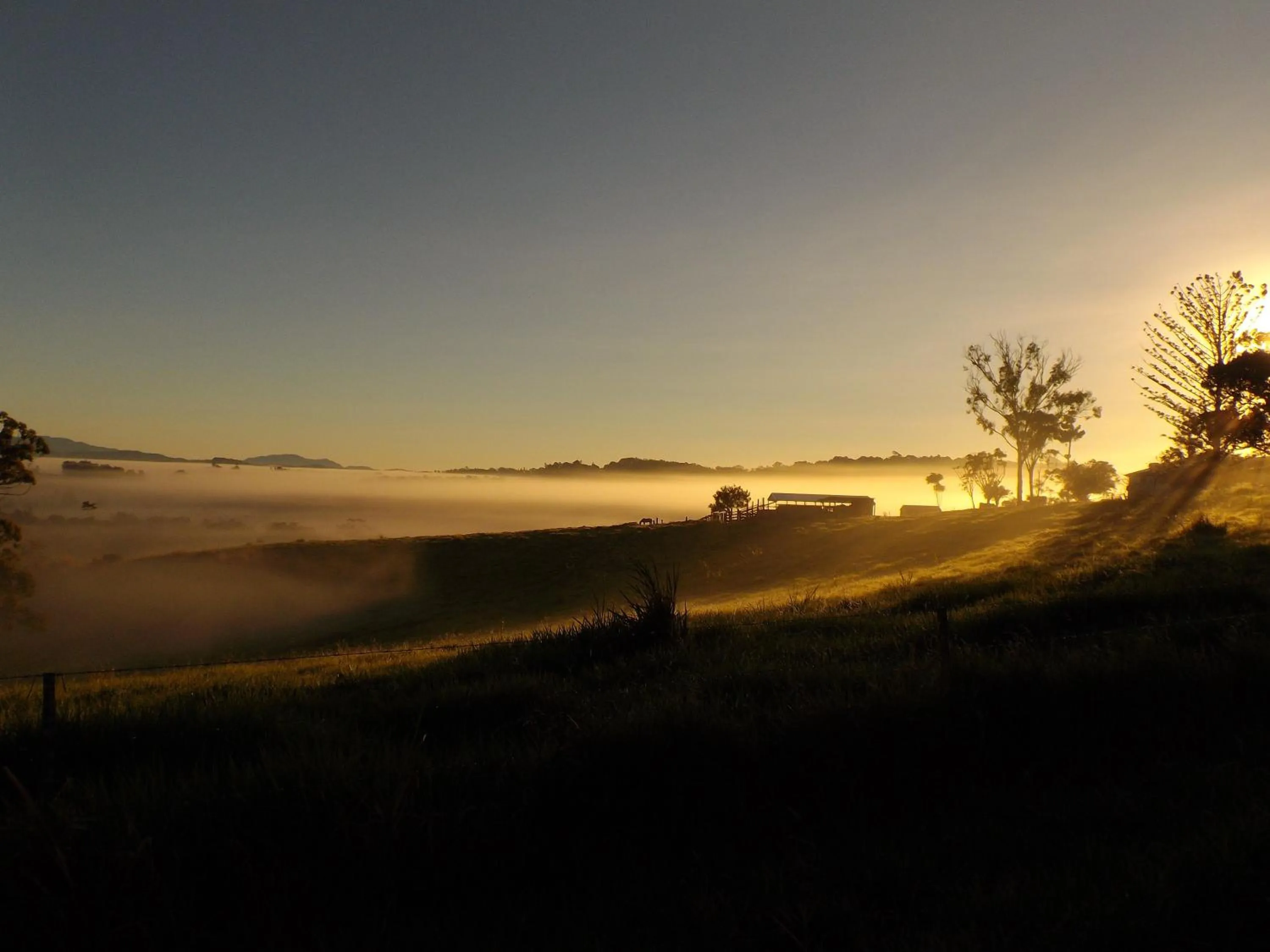 Natural landscape in Tinaroo Sunset Retreat