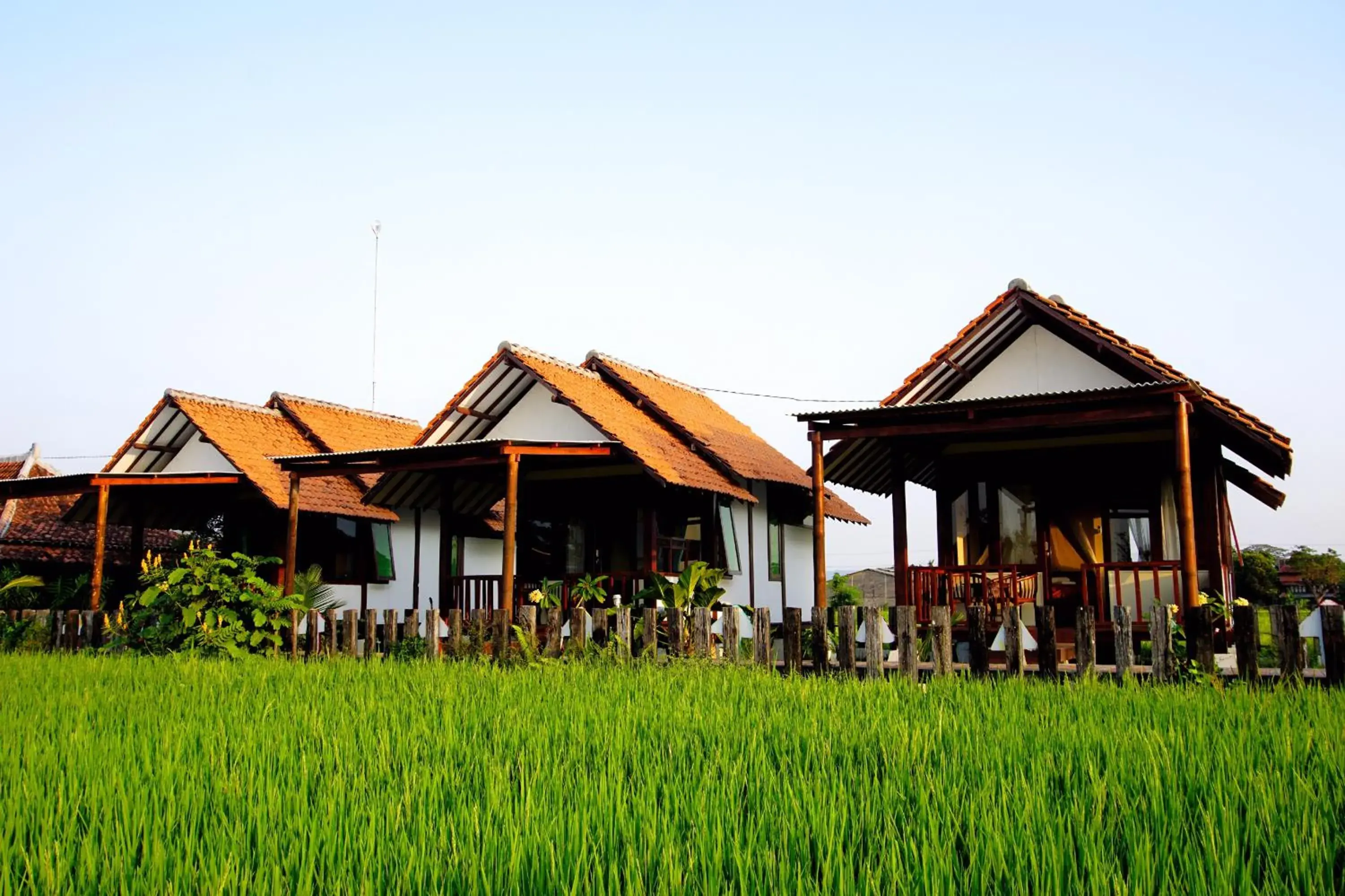 Ary's Residence powered by Cocotel Ary's Residence powered by Cocotel