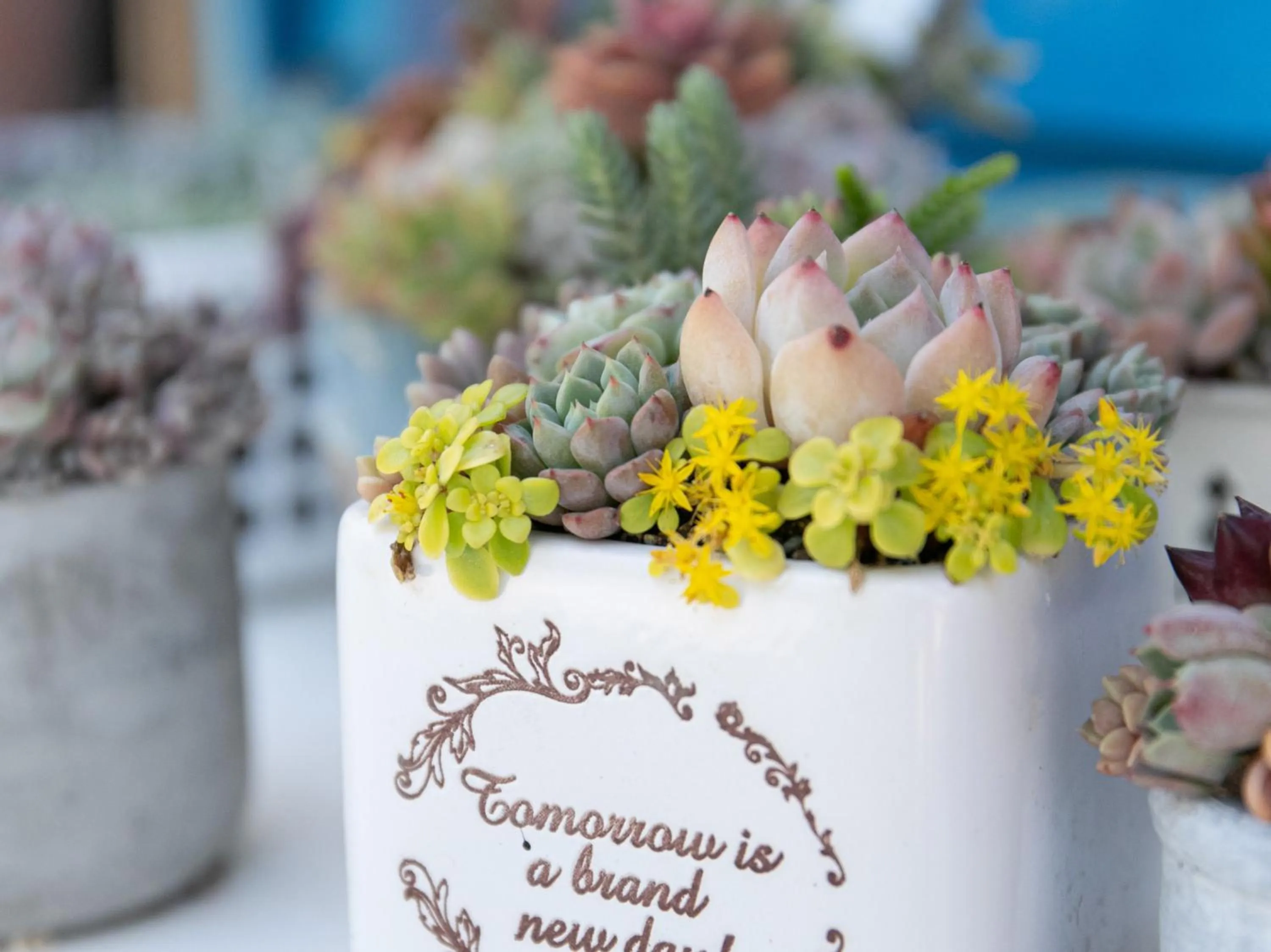 Other in Tabist Guest house Pumping Surf