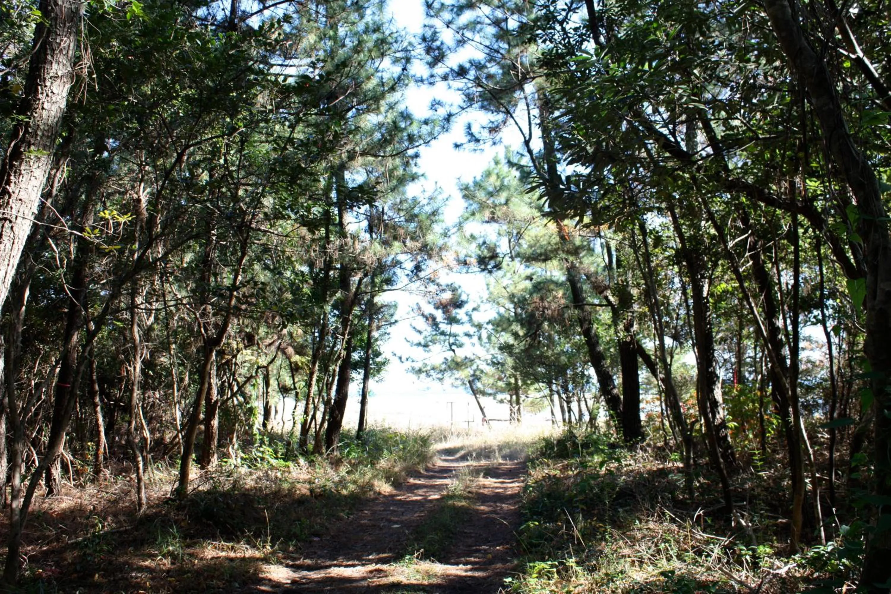 Natural landscape in Tabist Guest house Pumping Surf