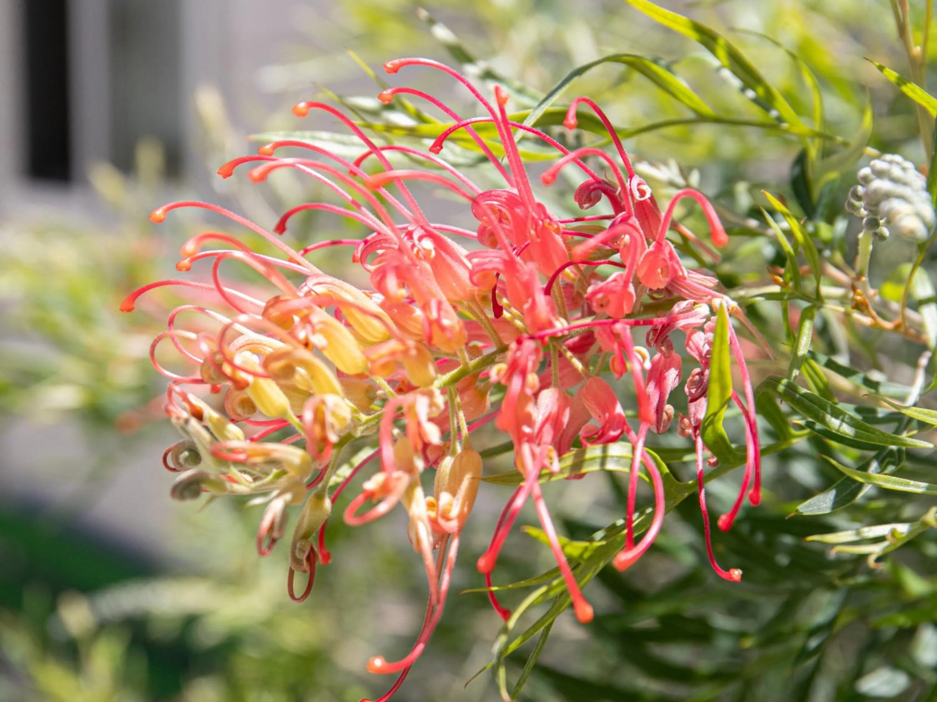 Other in Tabist Guest house Pumping Surf