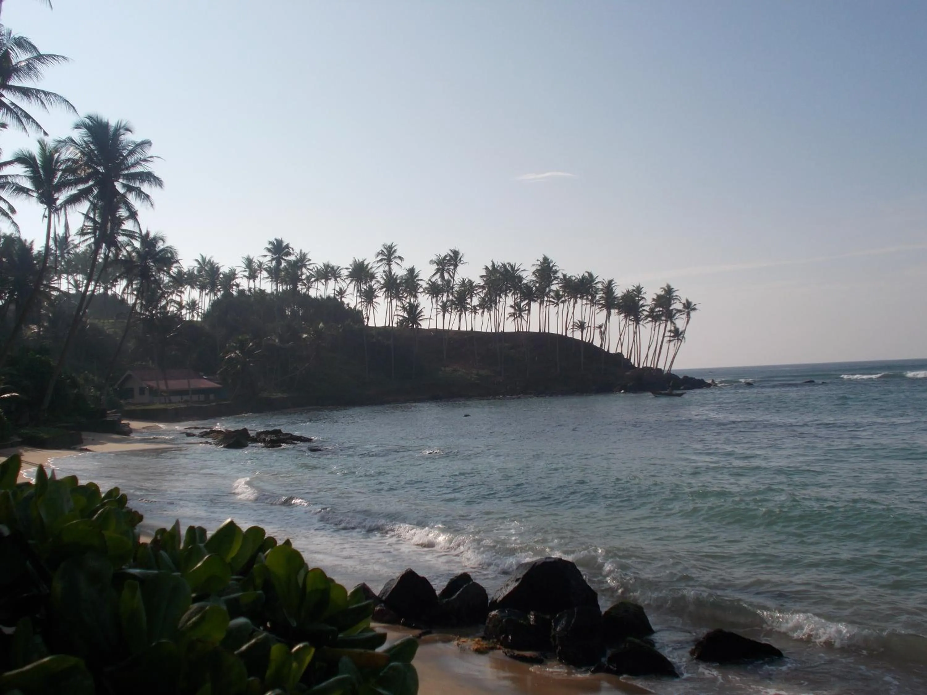 Beach in Peacock Wings Guest