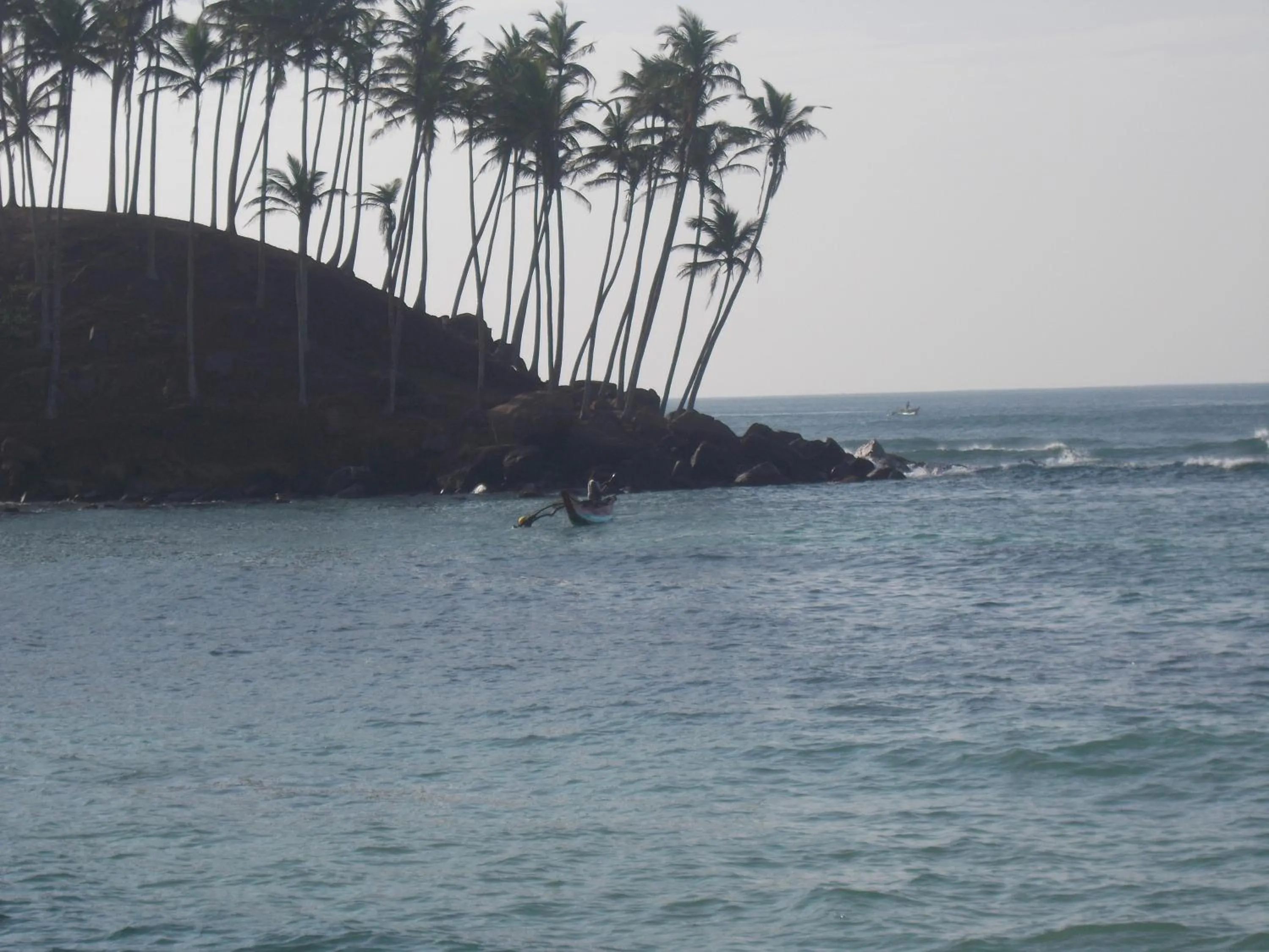 Beach in Peacock Wings Guest