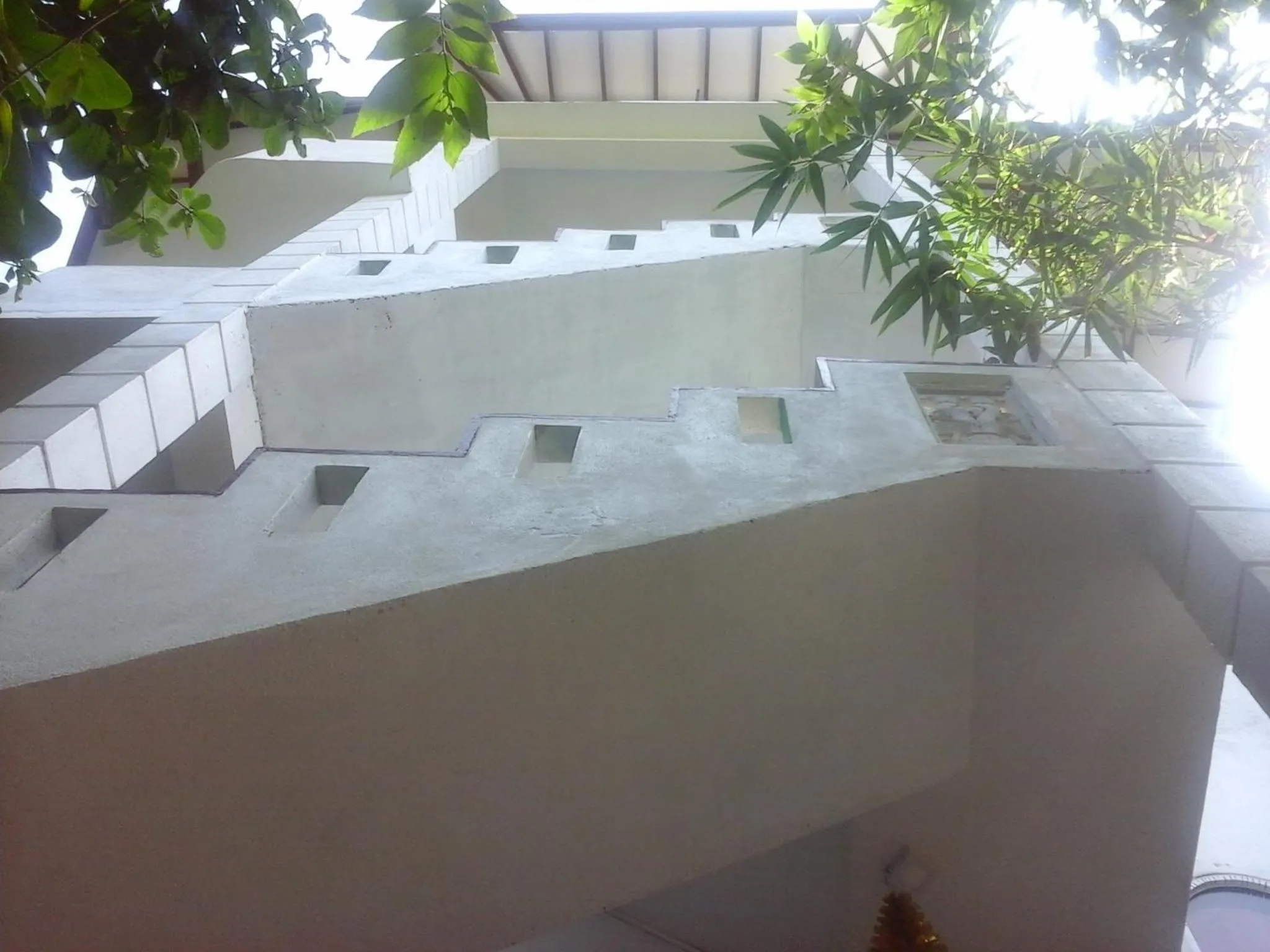 Bird's eye view in Peacock Wings Guest