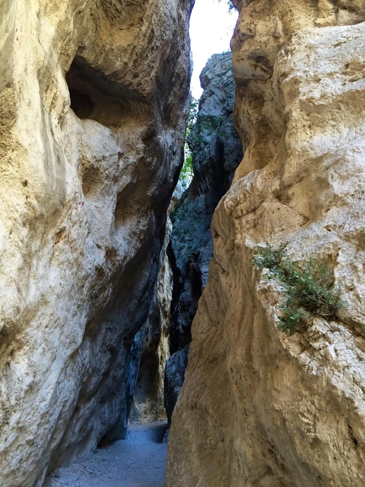 Natural landscape in Residence La Piazzetta