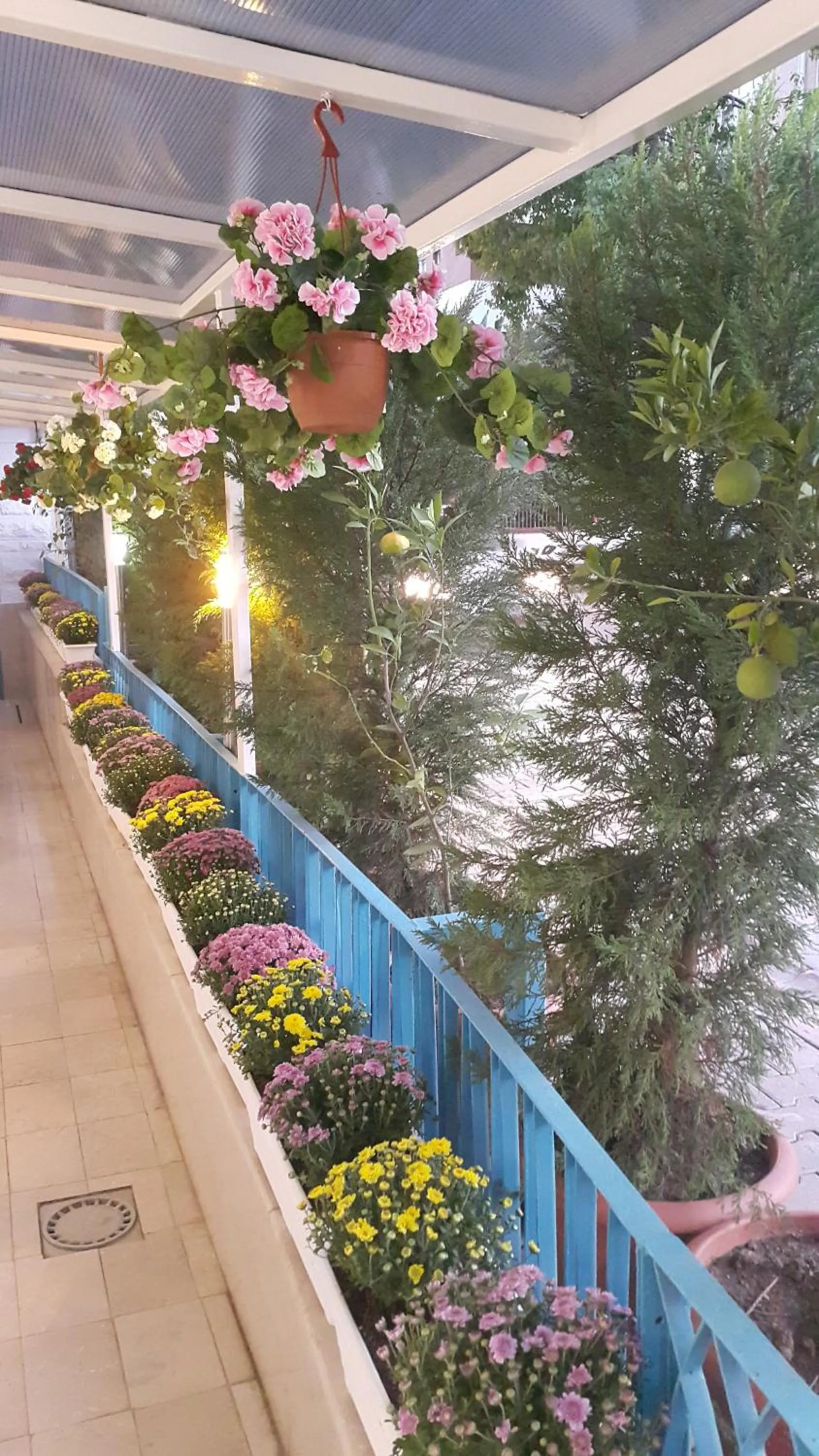 Patio in Adana City Boutique Hotel