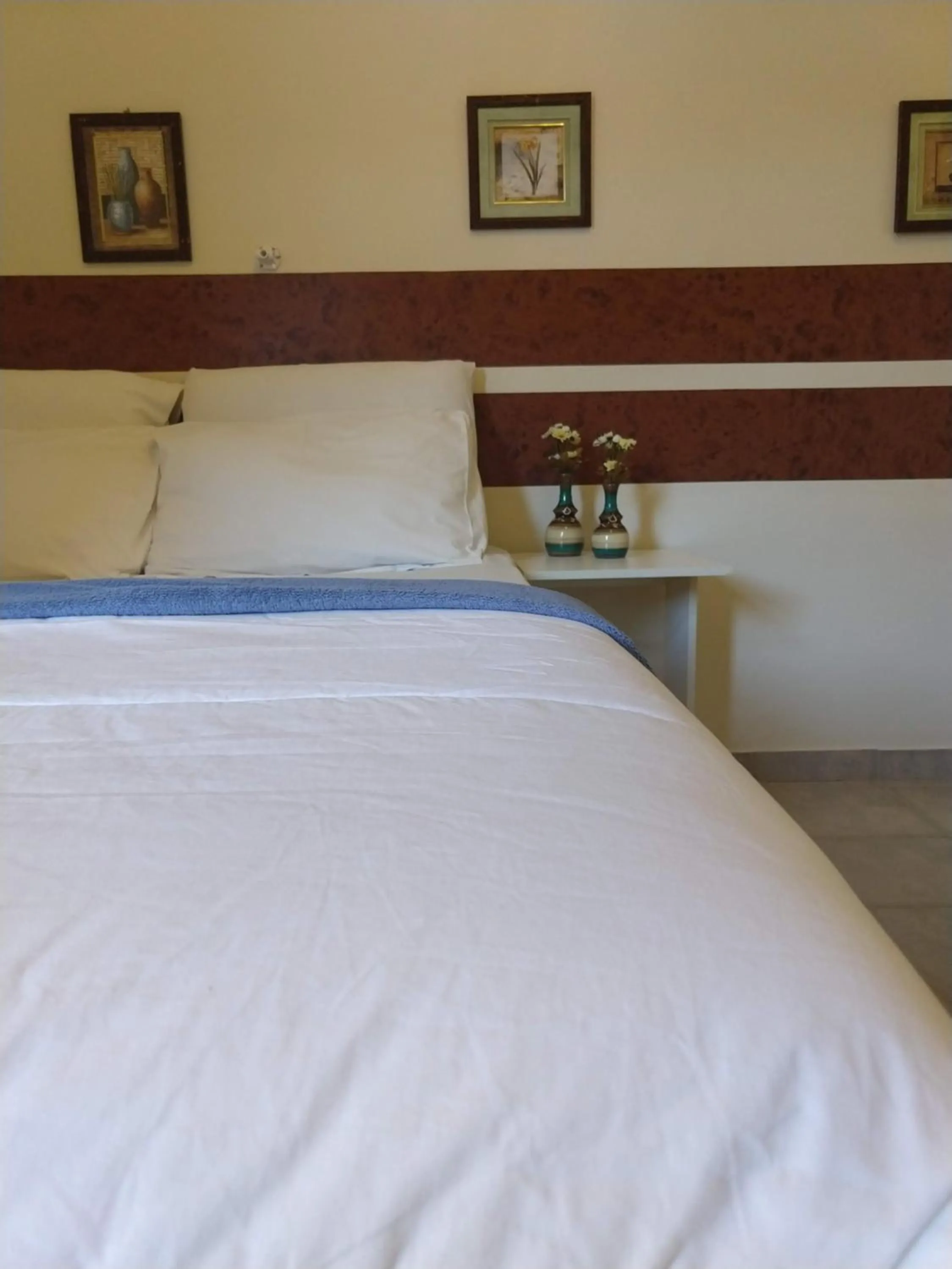Bed in Hotel Minastur