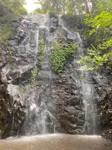 Nimbin waterfall retreat