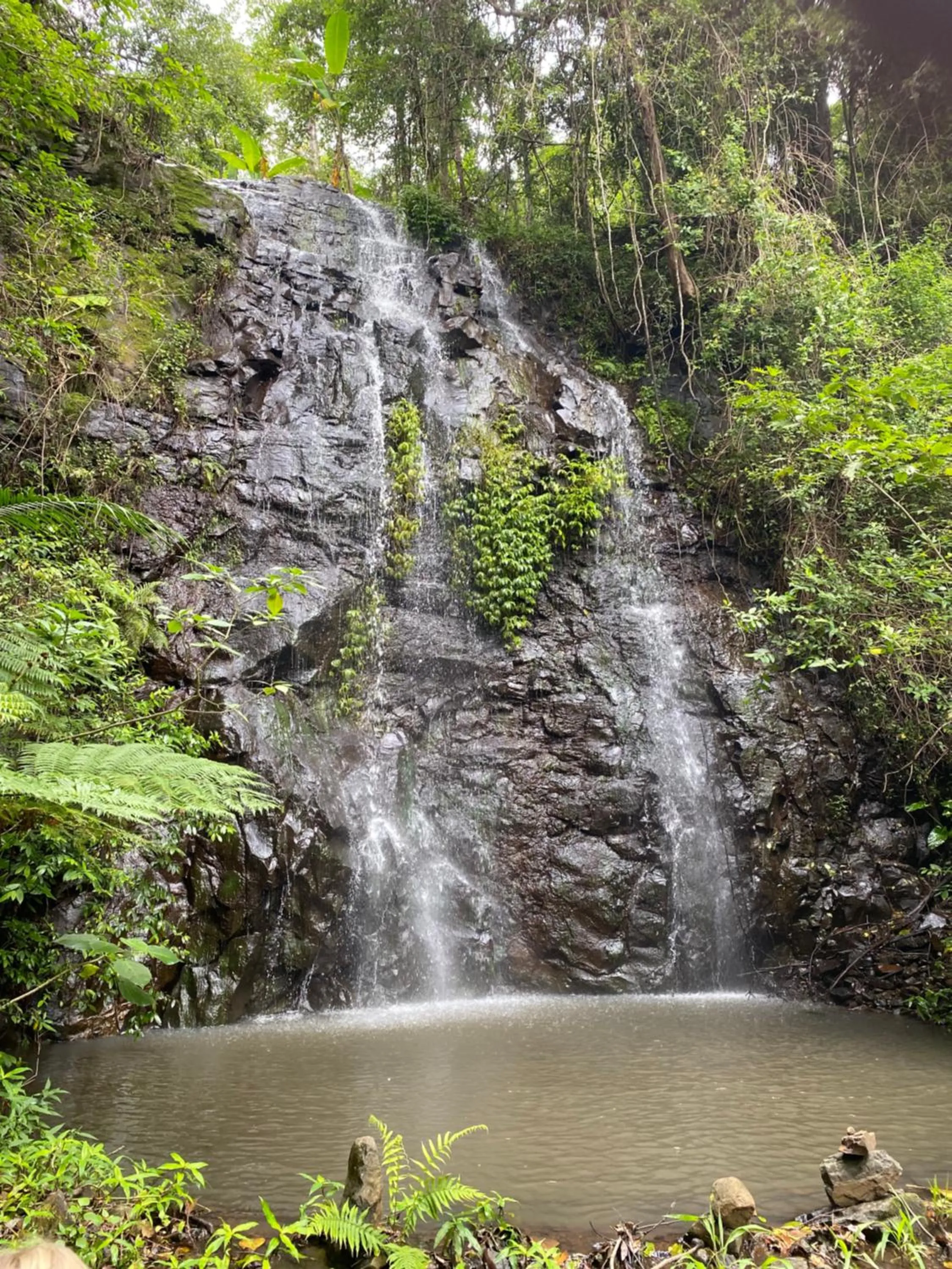 Nimbin waterfall retreat