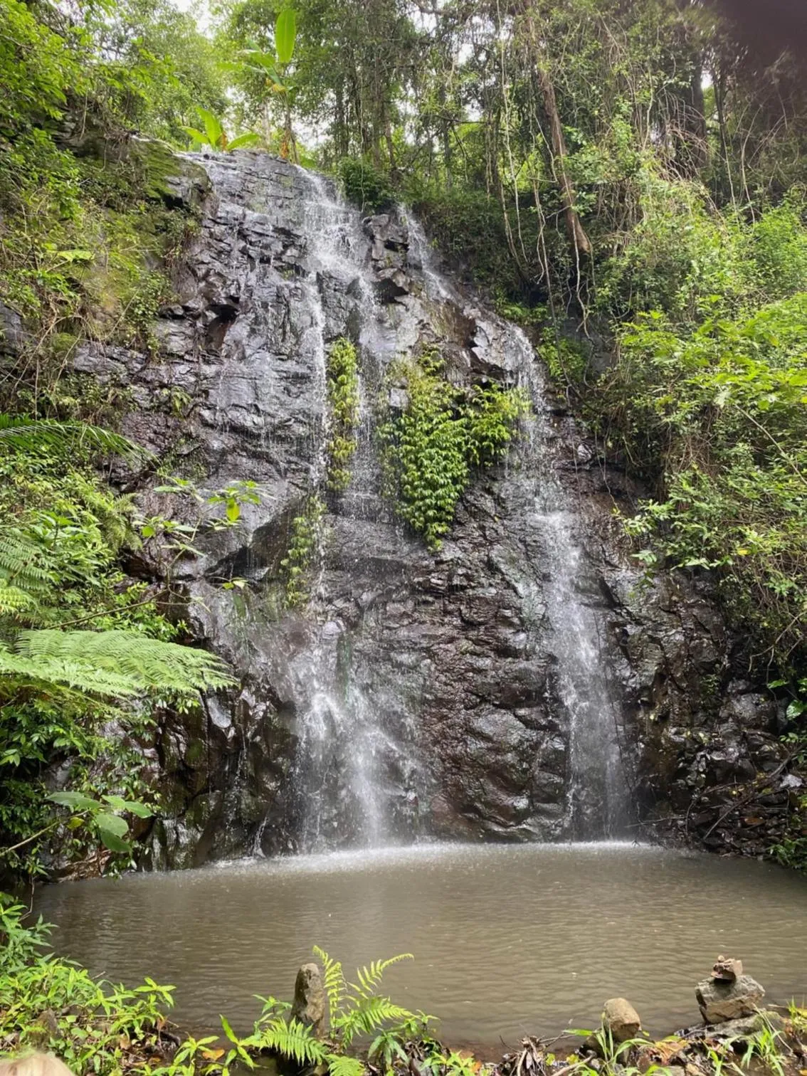 Natural landscape in Nimbin waterfall retreat