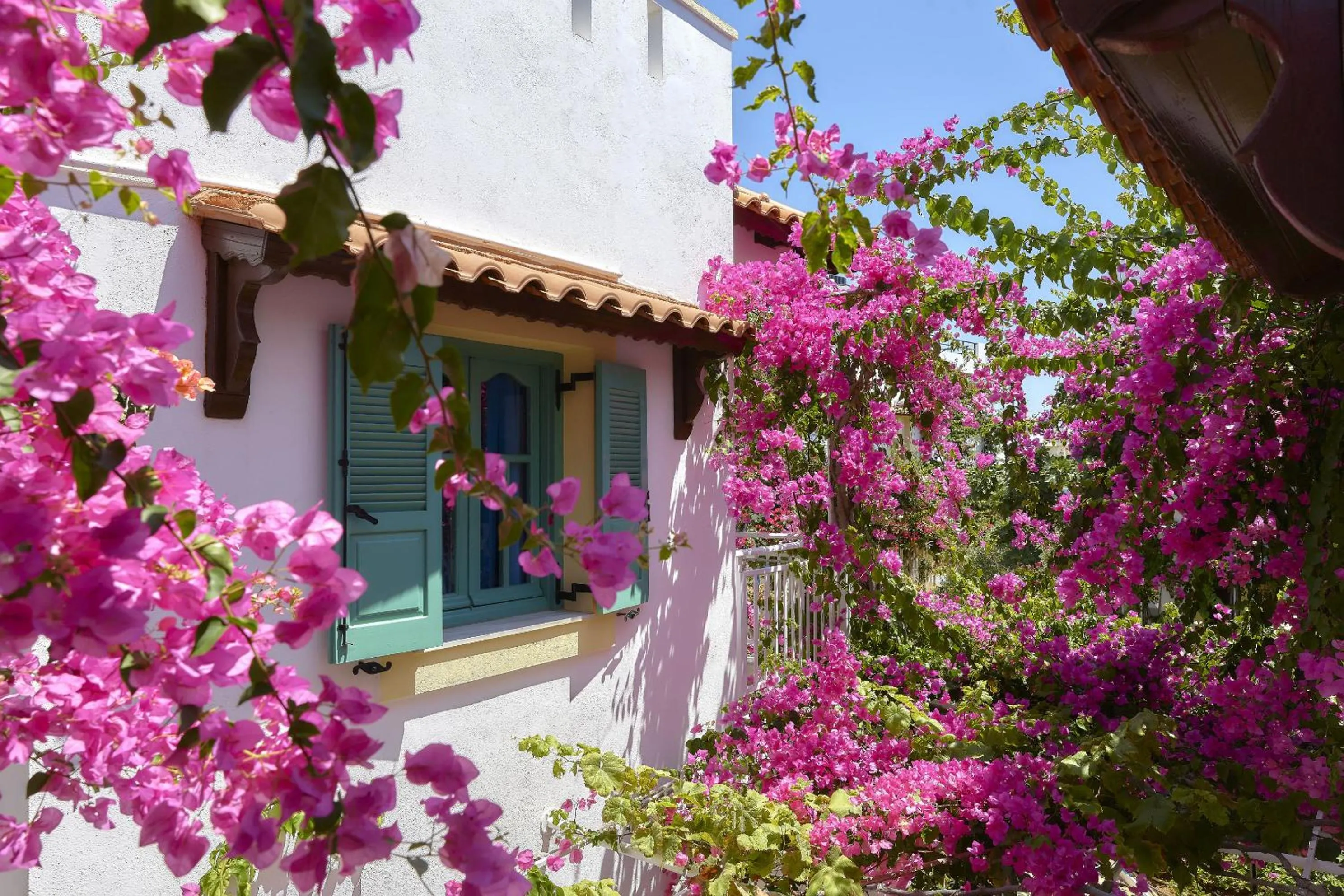 Garden in Paul Marie