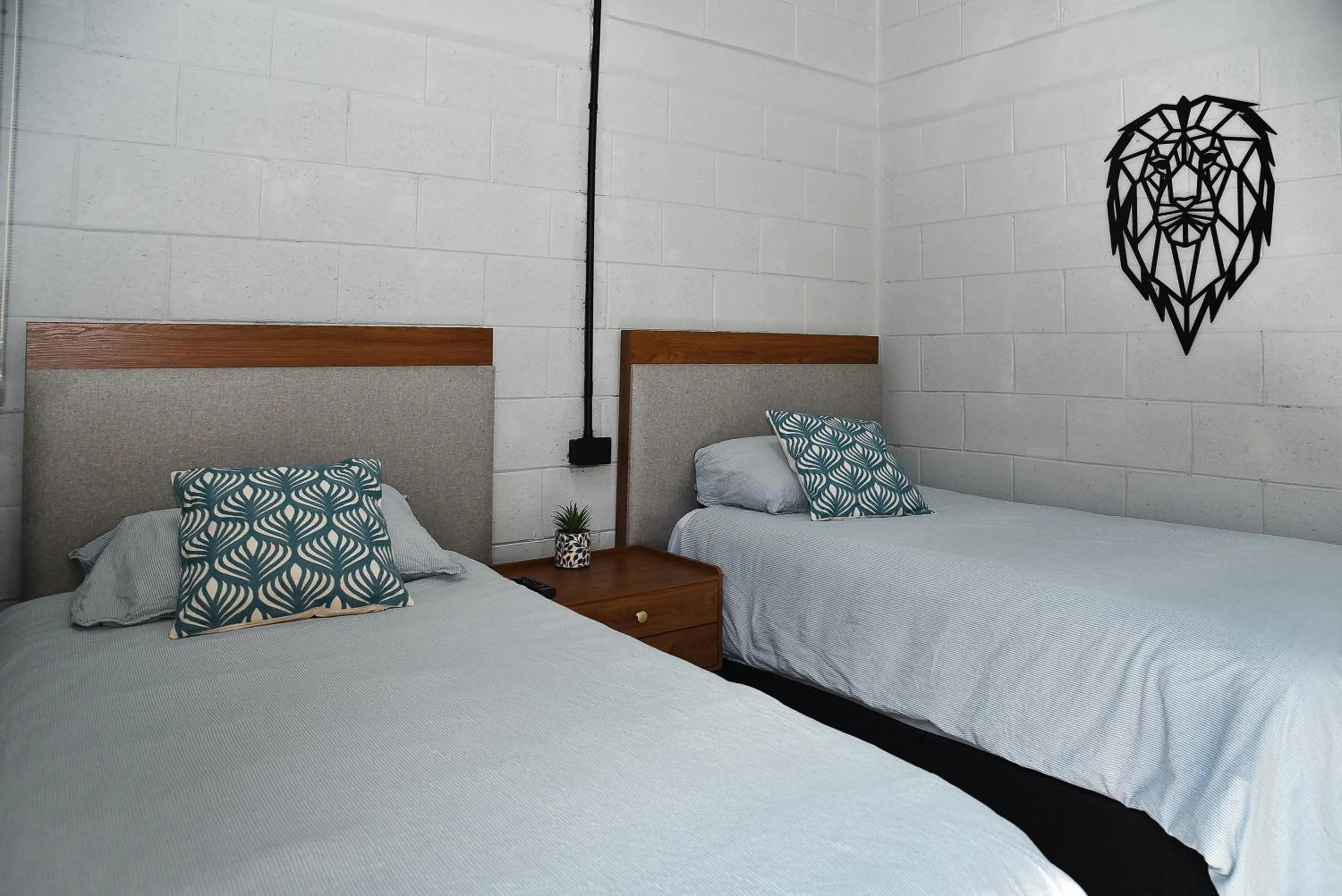Photo of the whole room, Bed in Sealion Dive Center