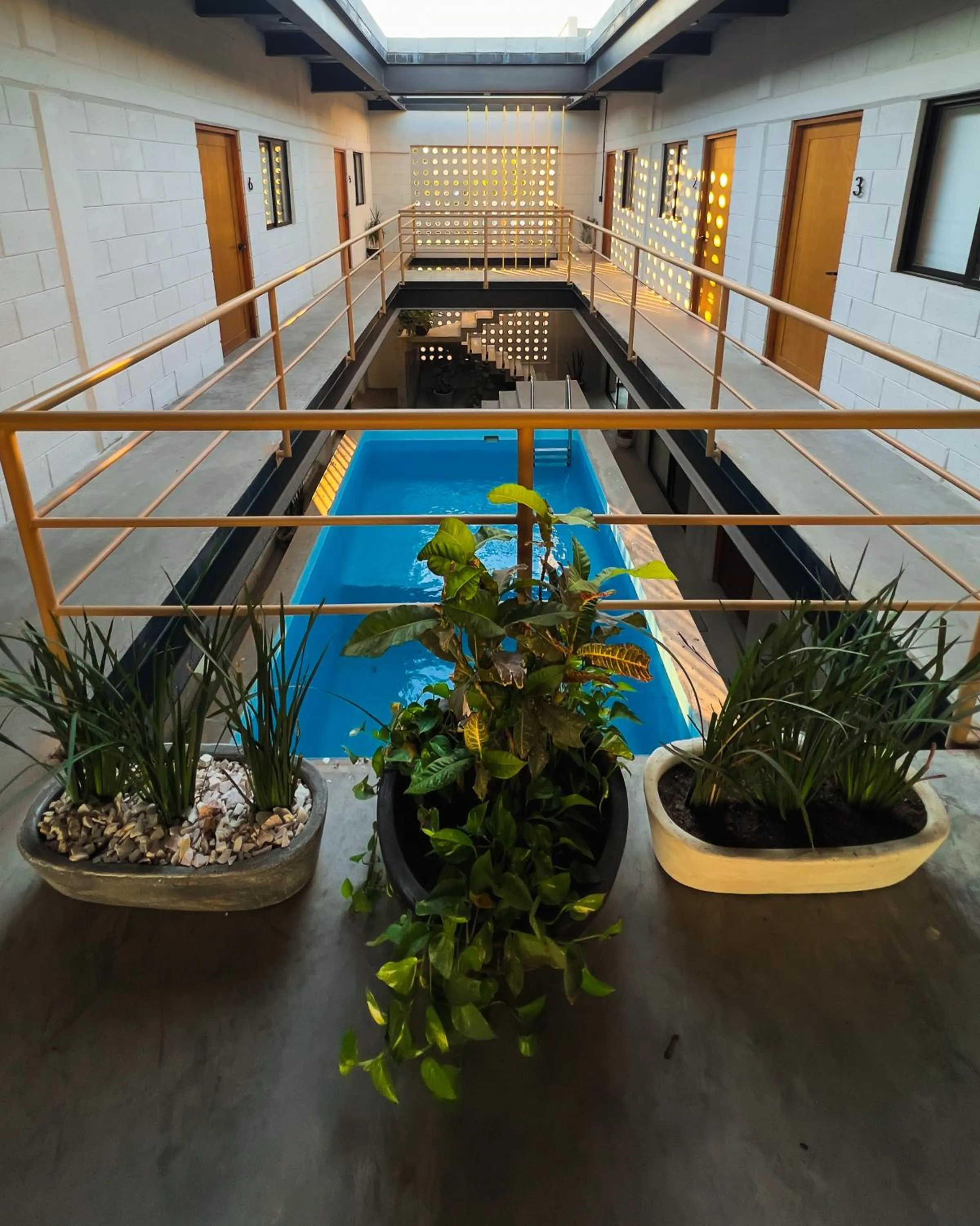 Pool view in Sealion Dive Center