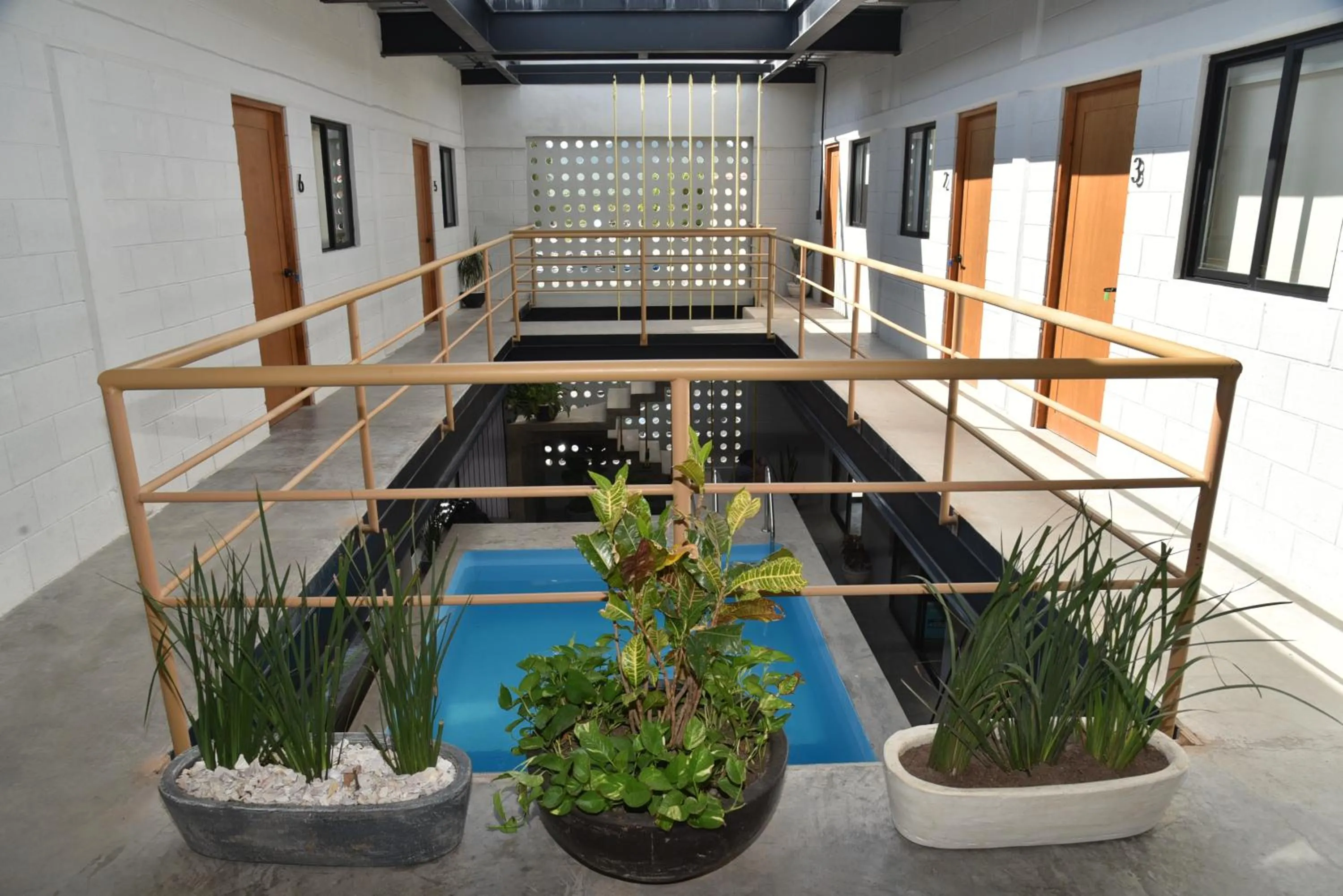 Garden in Sealion Dive Center