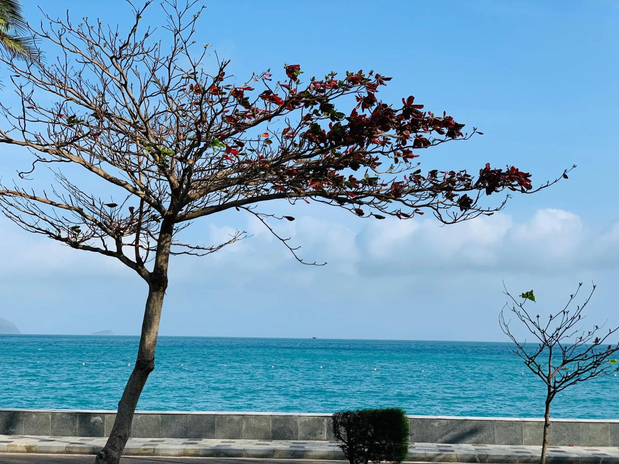 Day in Golden Rose Hotel Con Dao