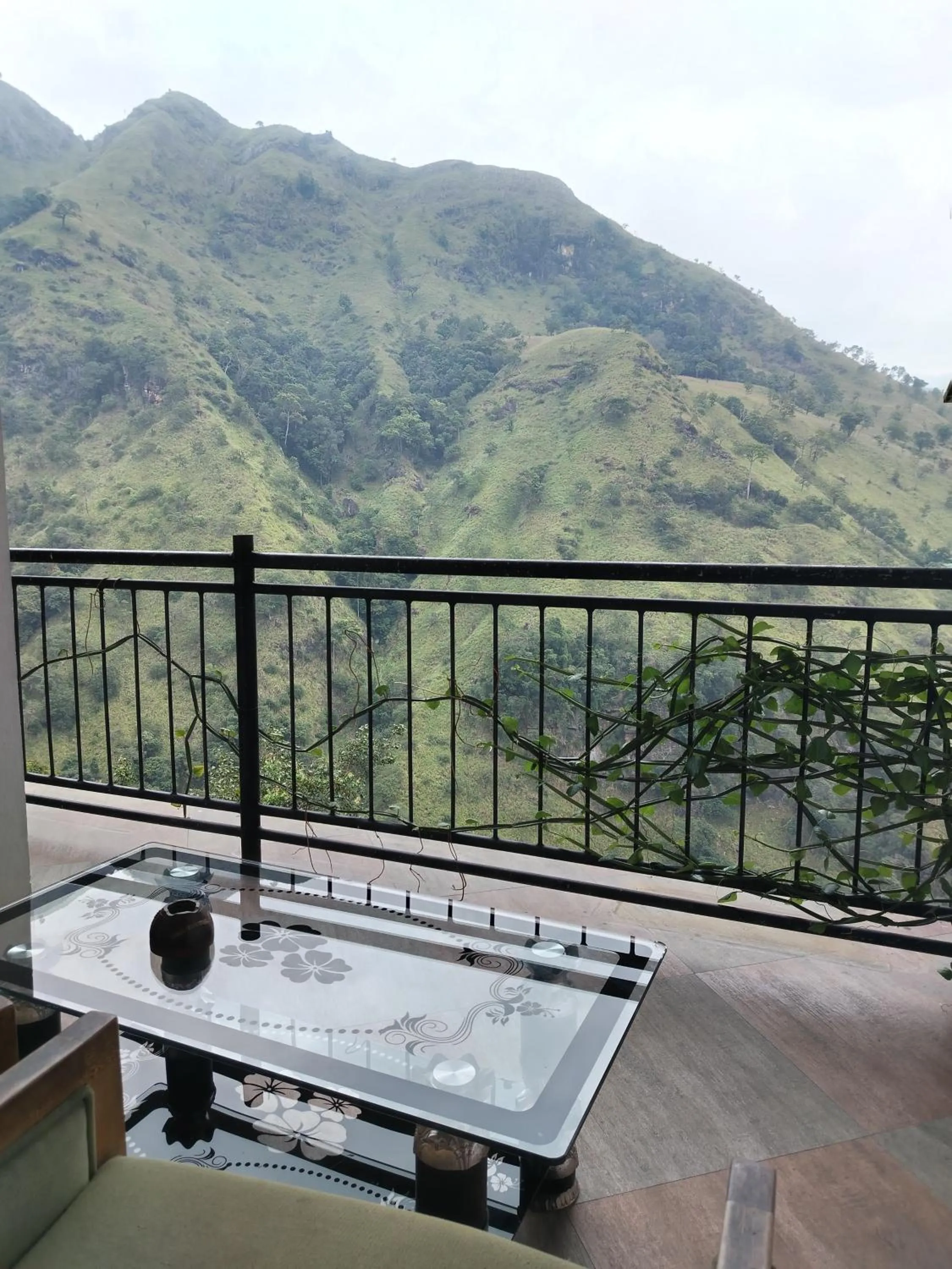 View (from property/room) in Ella Mount Heaven